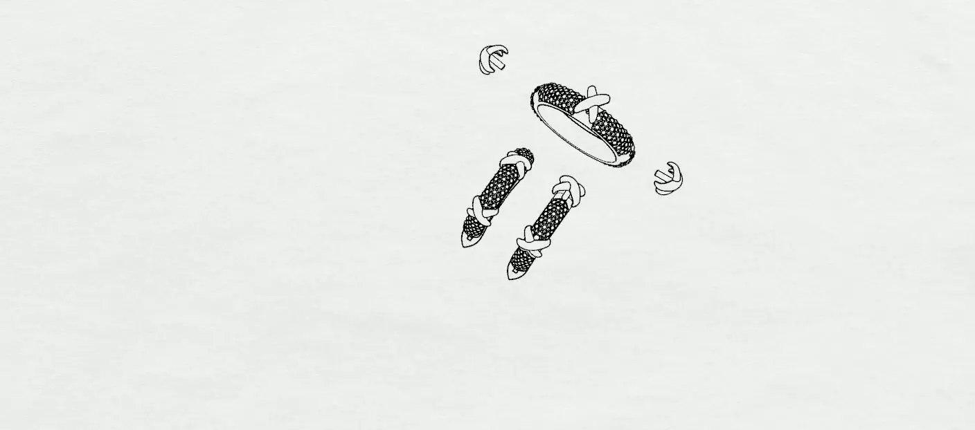 Ring and Earrings 3D print model_18