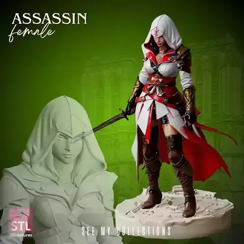Assassin Heroine STL Detailed Female 3D print model