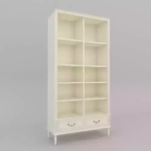 Classic Modern Book Shelves