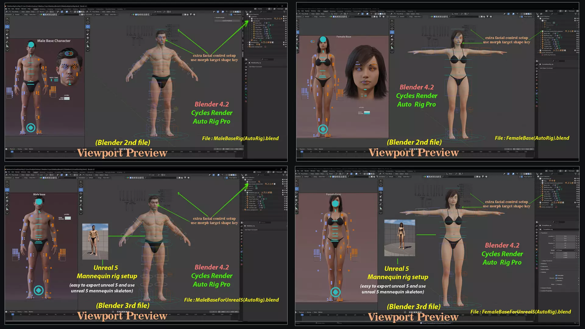 Male Female Base Character rig Low-poly 3D model_34