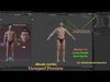 Male Female Base Character rig Low-poly 3D model_3