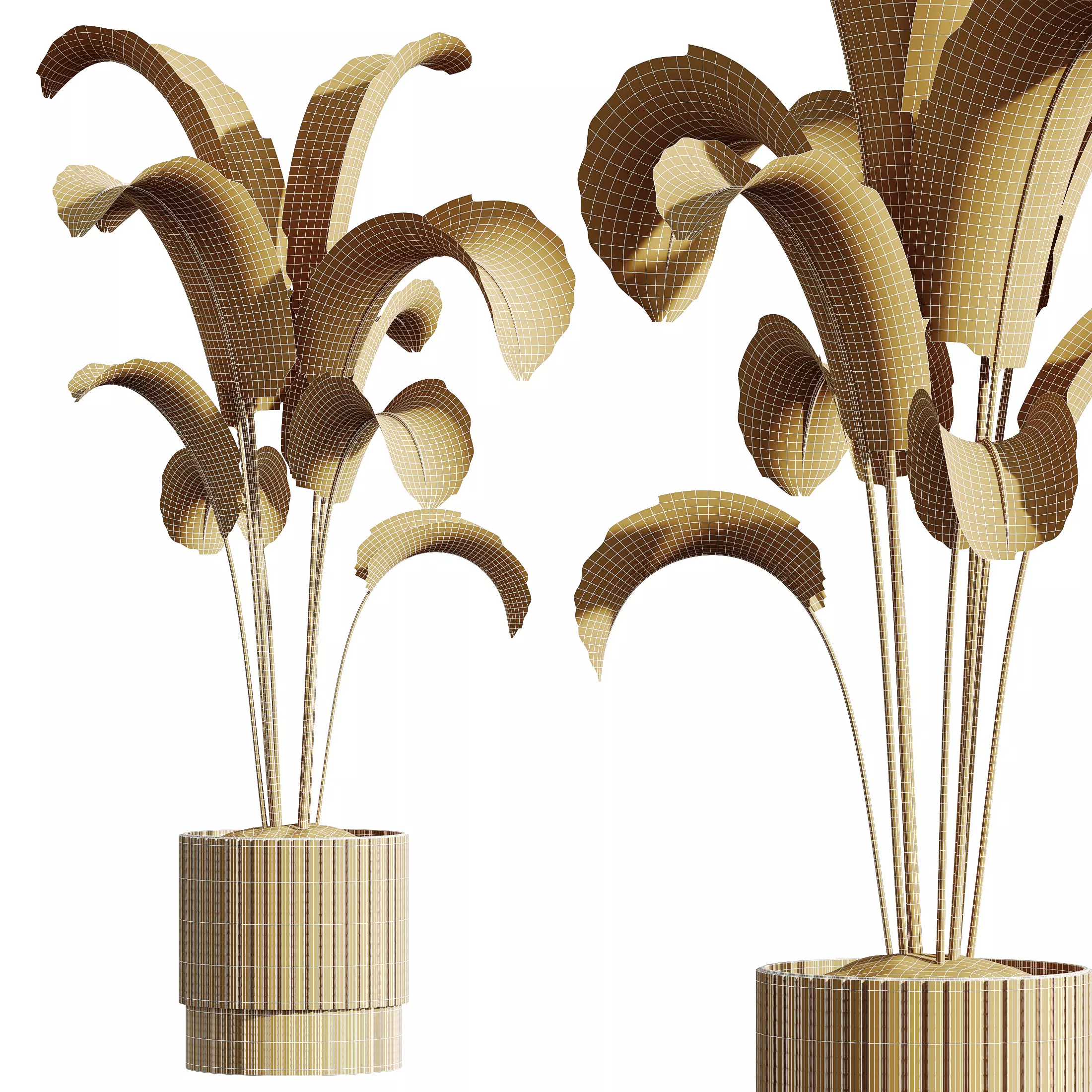 AV Indoor Plants Set 341 Banana Ficus Marginata 3D model_14