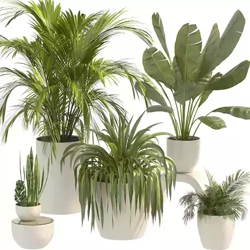 Plant Set 10