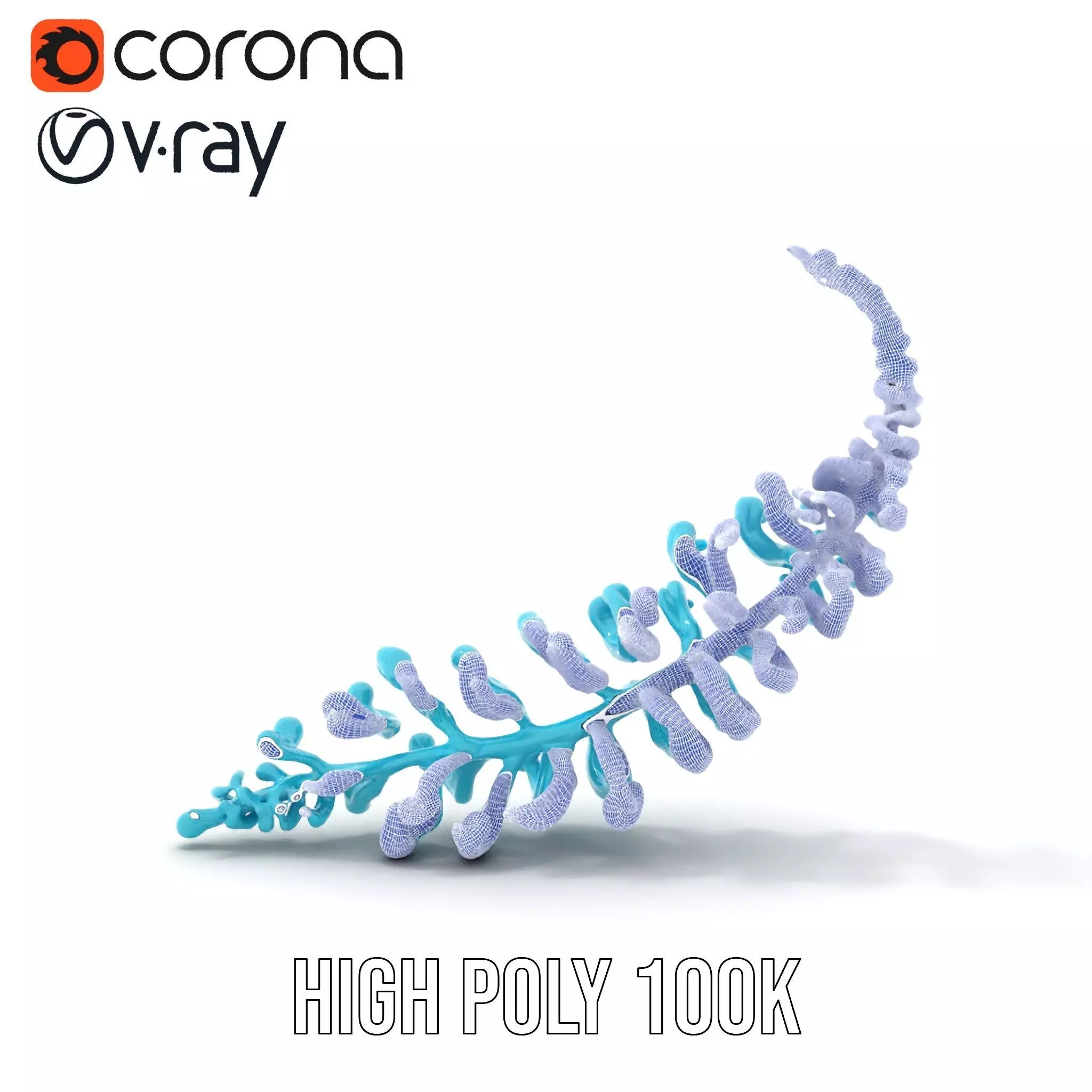 Aqua Spiral Fern model pack Low-poly 3D model_33