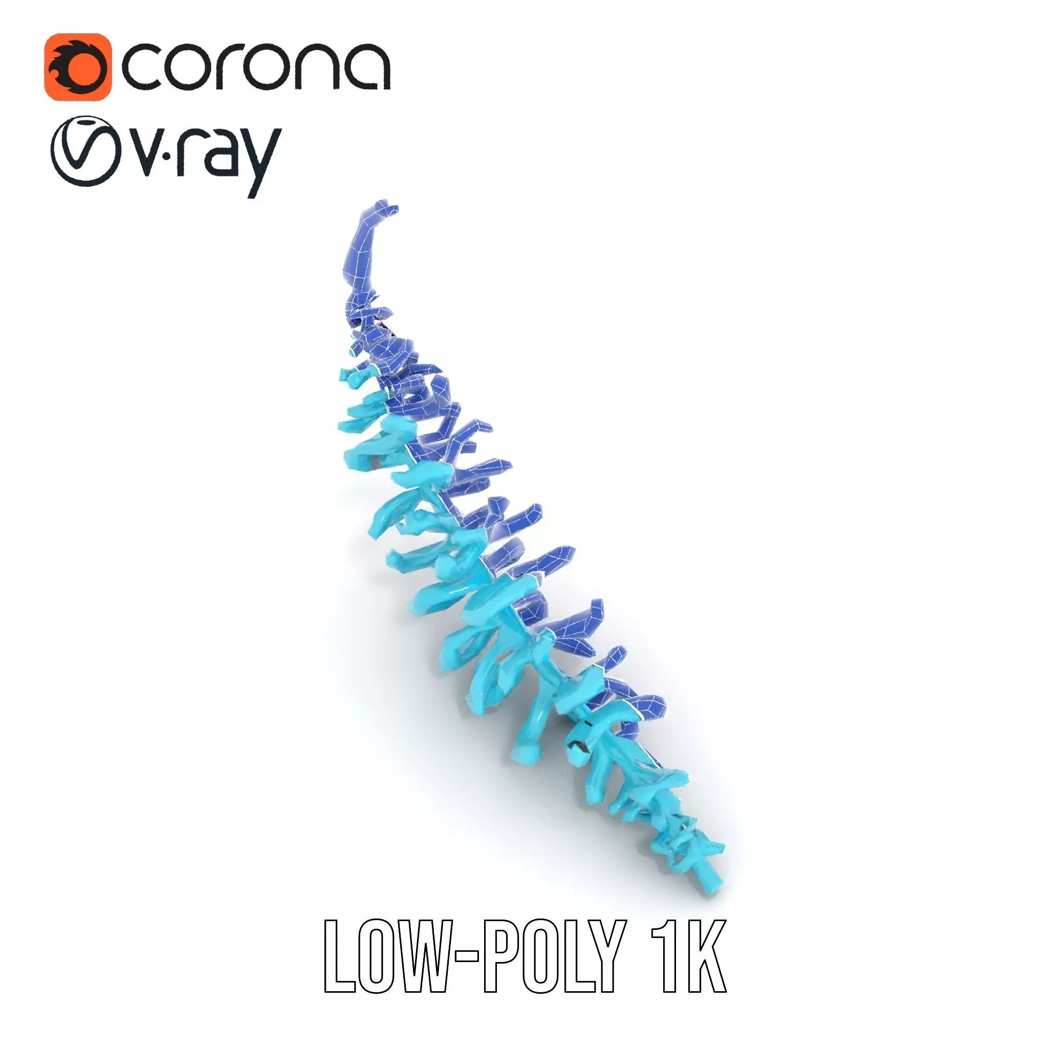 Aqua Spiral Fern model pack Low-poly 3D model_21
