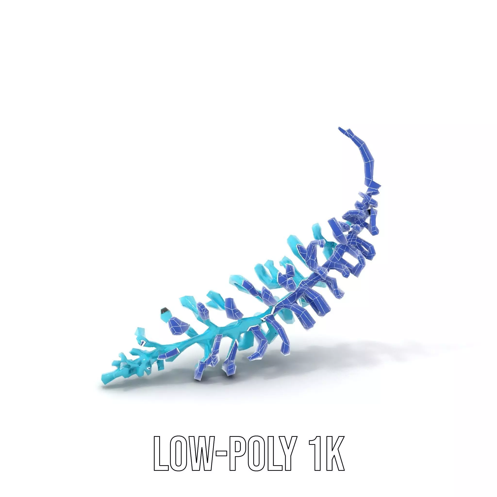 Aqua Spiral Fern model pack Low-poly 3D model_30