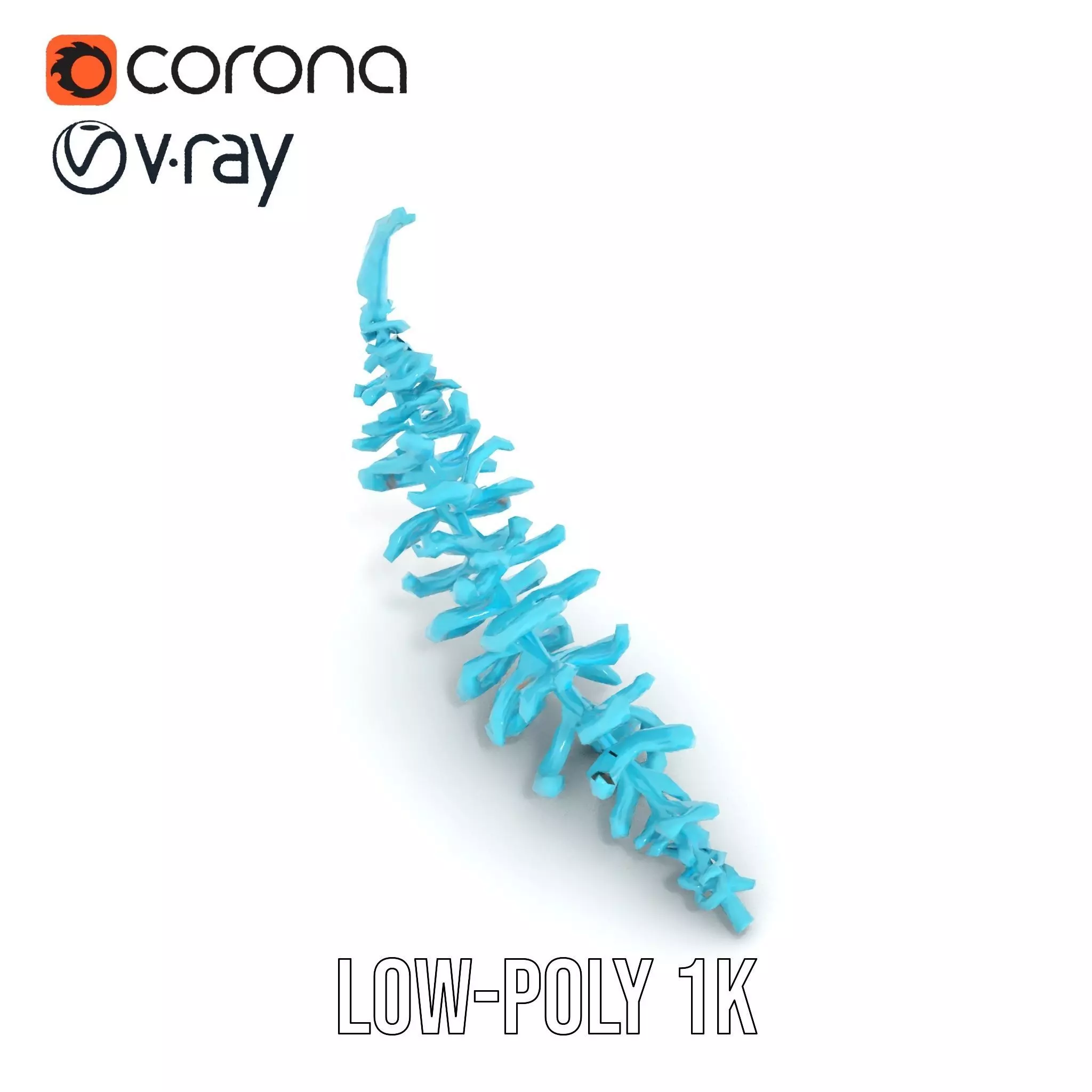 Aqua Spiral Fern model pack Low-poly 3D model_12