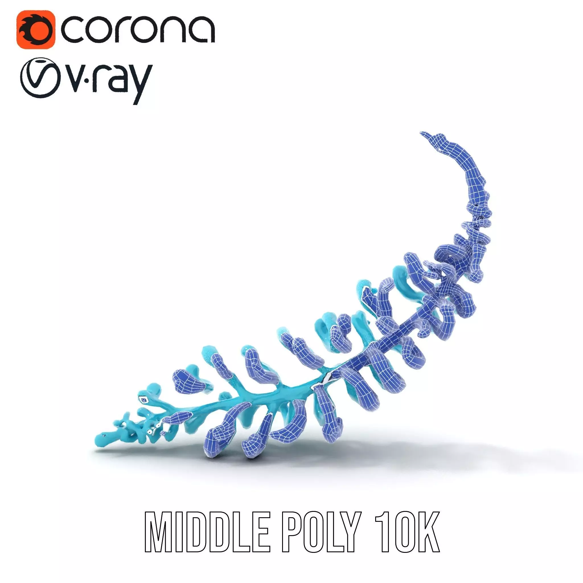 Aqua Spiral Fern model pack Low-poly 3D model_26
