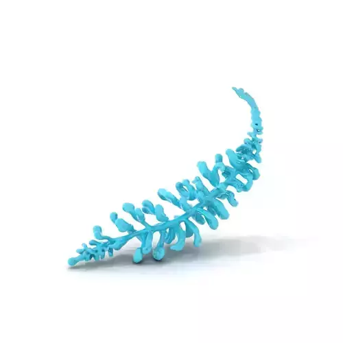 Aqua Spiral Fern model pack Low-poly 3D model
