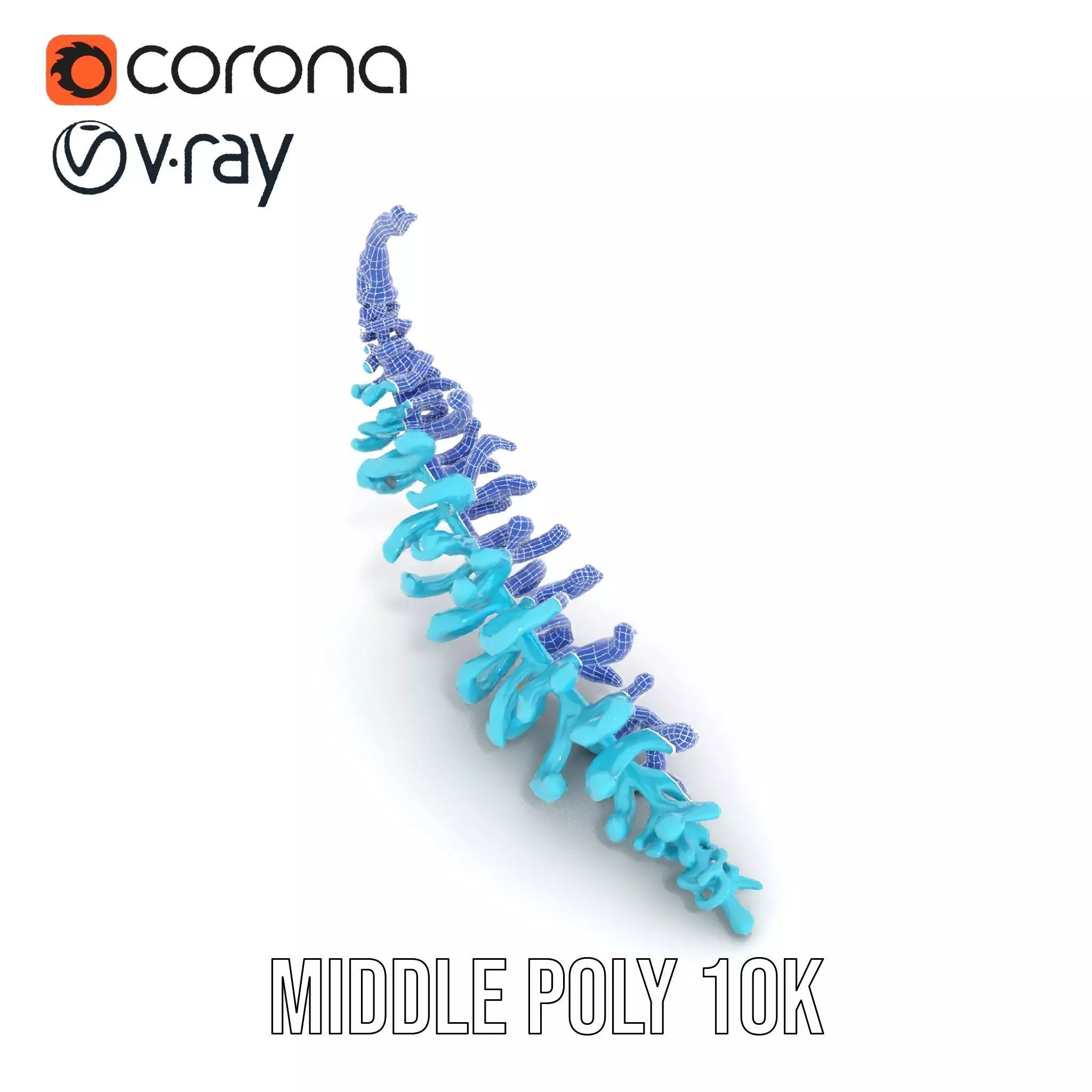 Aqua Spiral Fern model pack Low-poly 3D model_15
