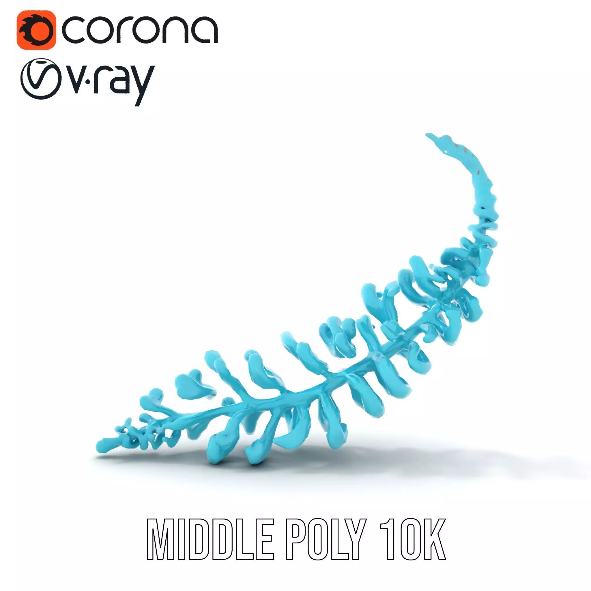Aqua Spiral Fern model pack Low-poly 3D model_29
