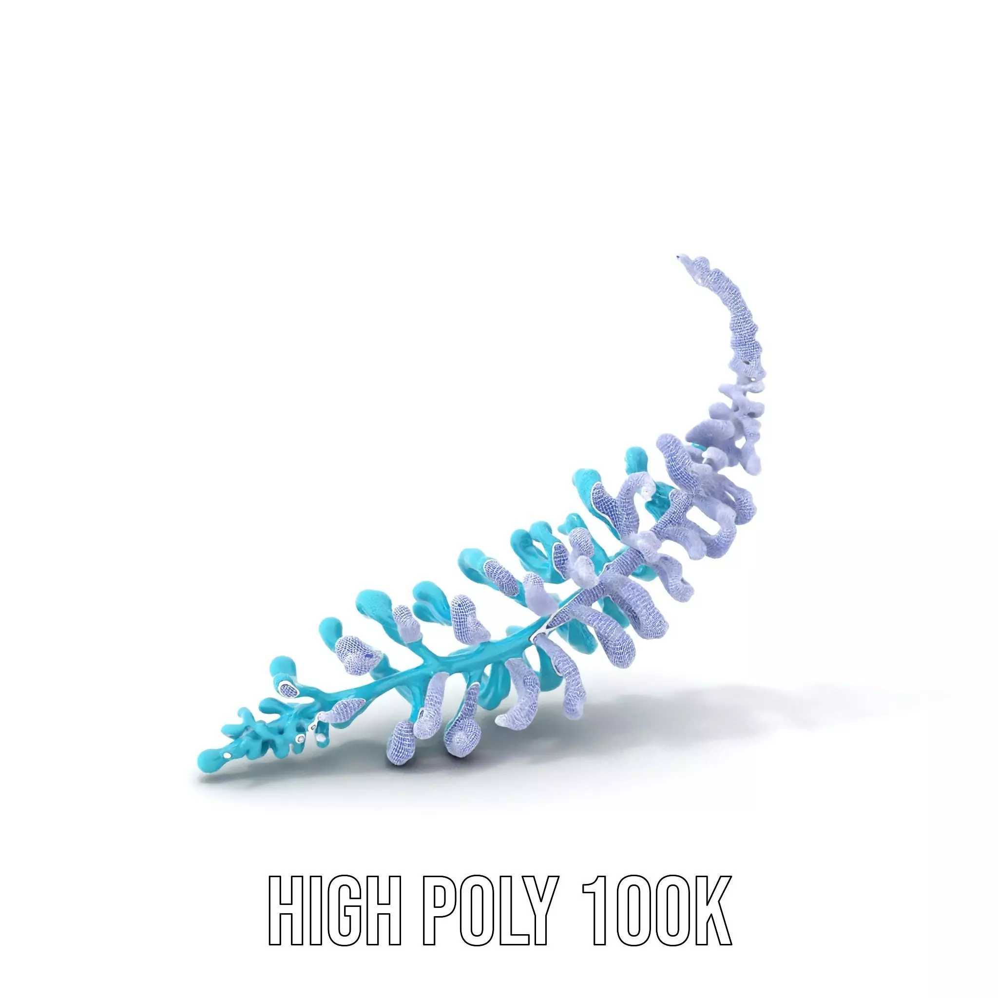 Aqua Spiral Fern model pack Low-poly 3D model_4
