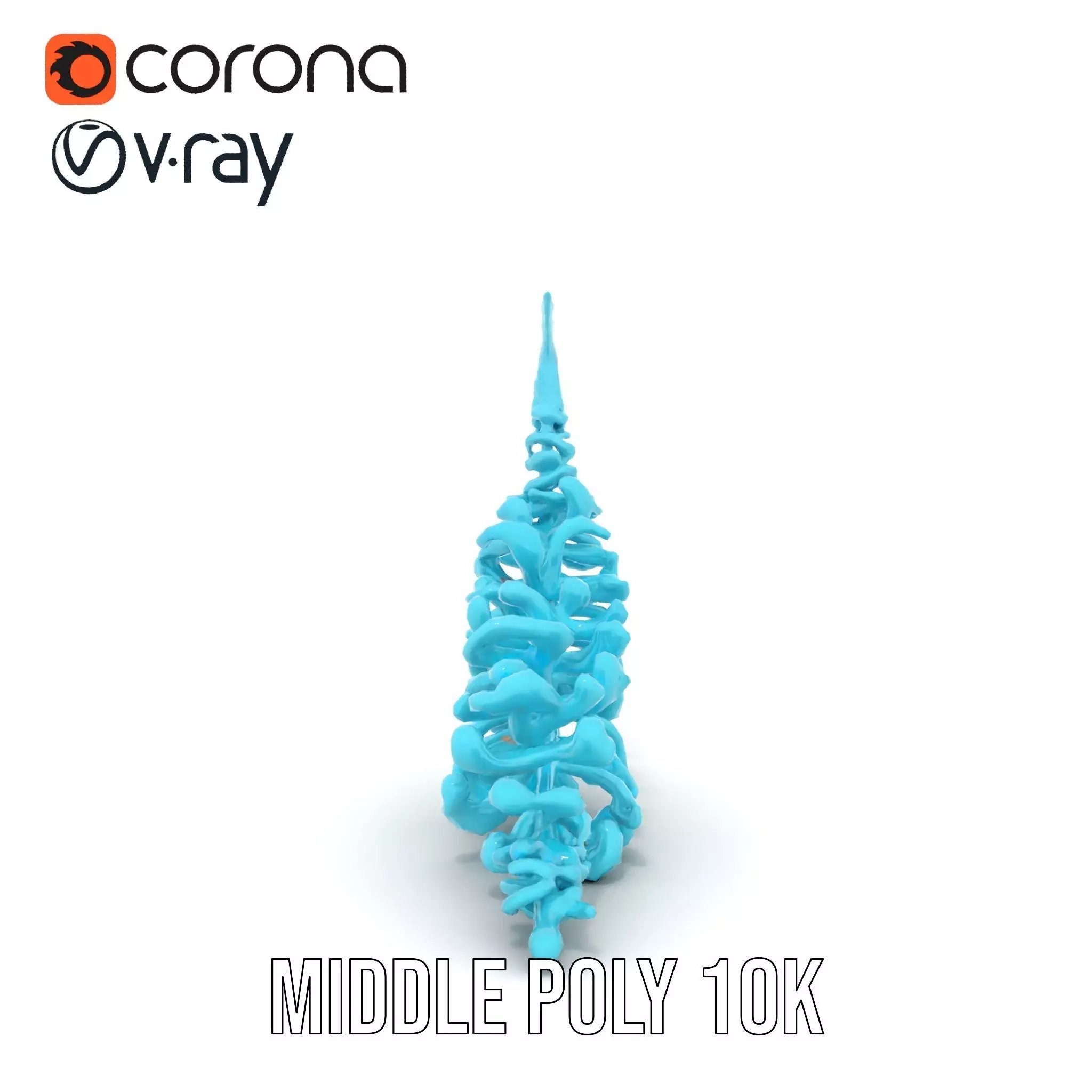 Aqua Spiral Fern model pack Low-poly 3D model_13