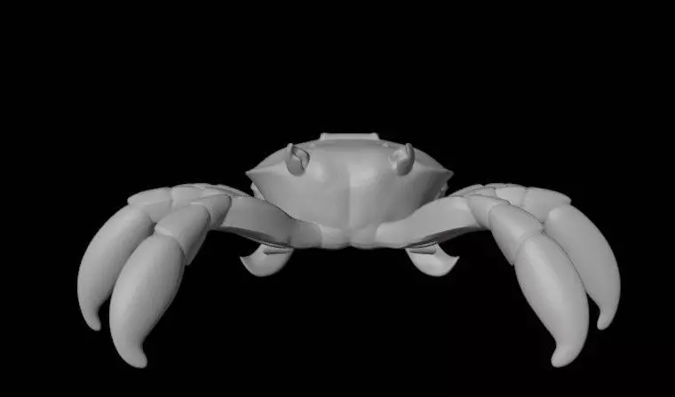 crabb 3D print model_1