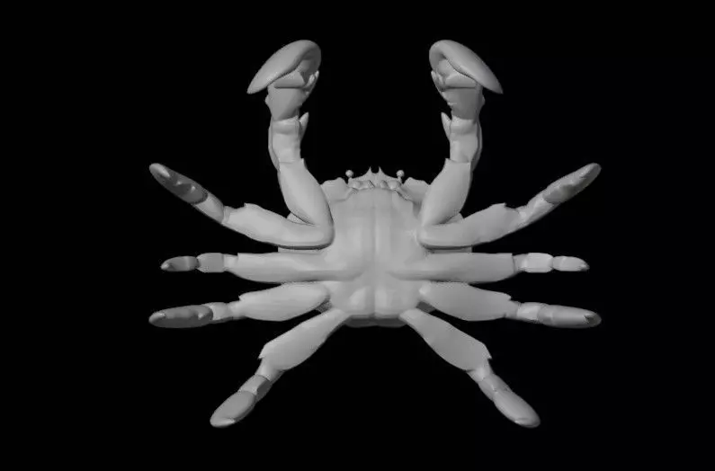 crabb 3D print model_4