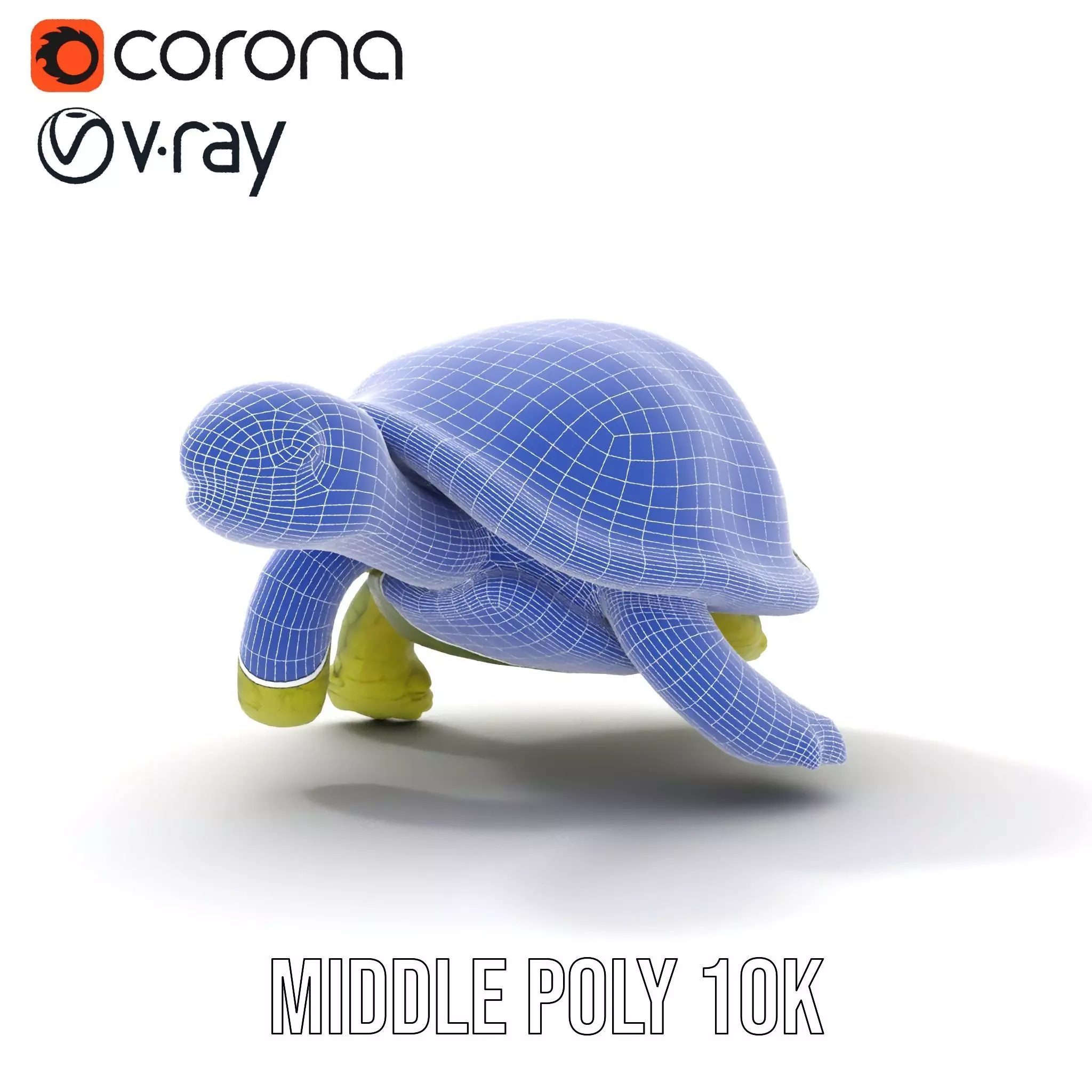 Mossy Turtle model pack Low-poly 3D model_26