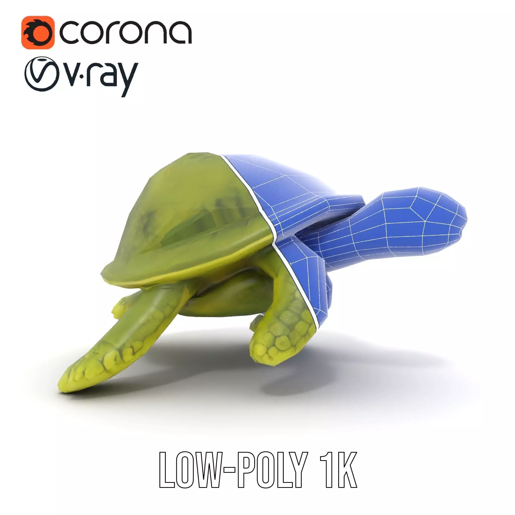 Mossy Turtle model pack Low-poly 3D model_25