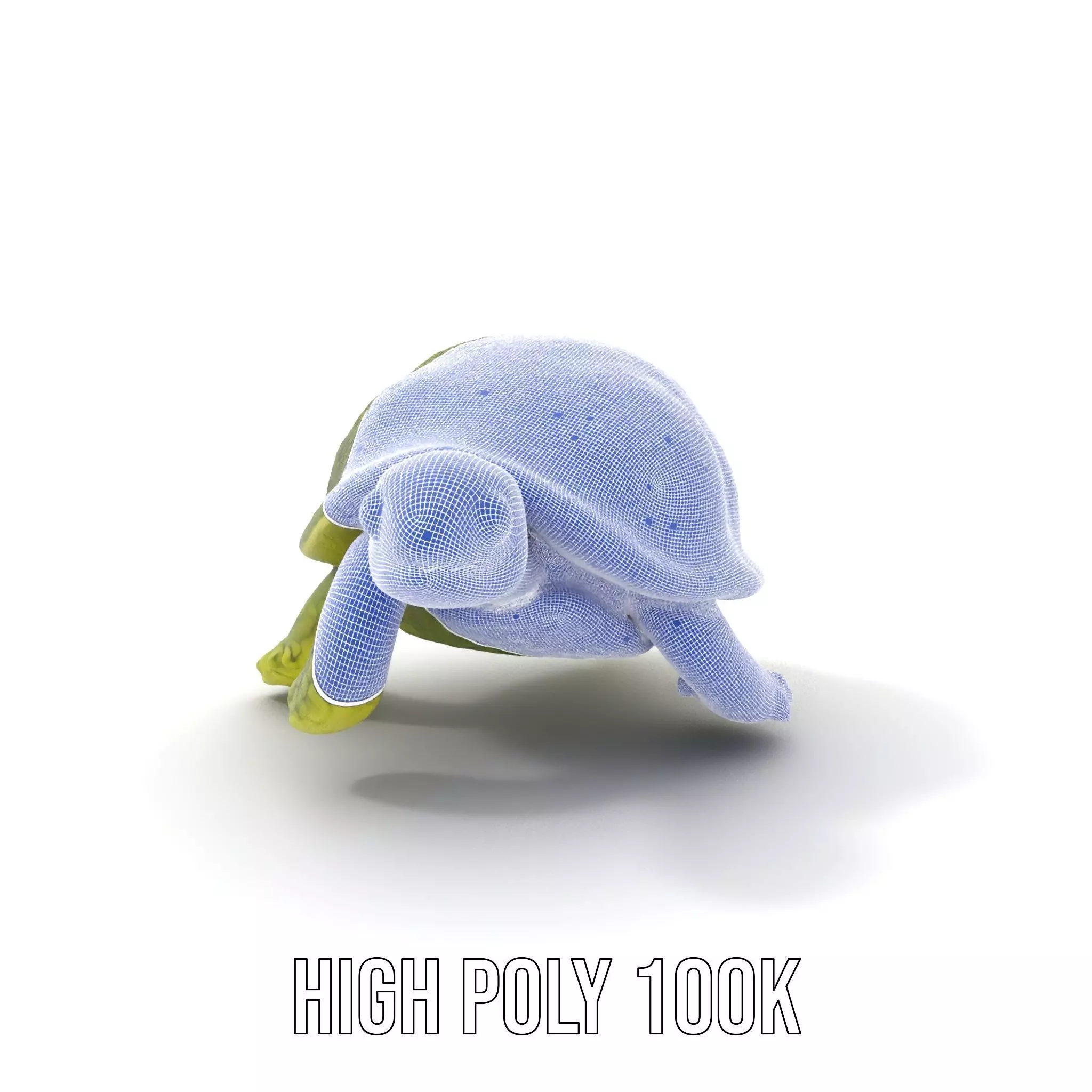Mossy Turtle model pack Low-poly 3D model_4