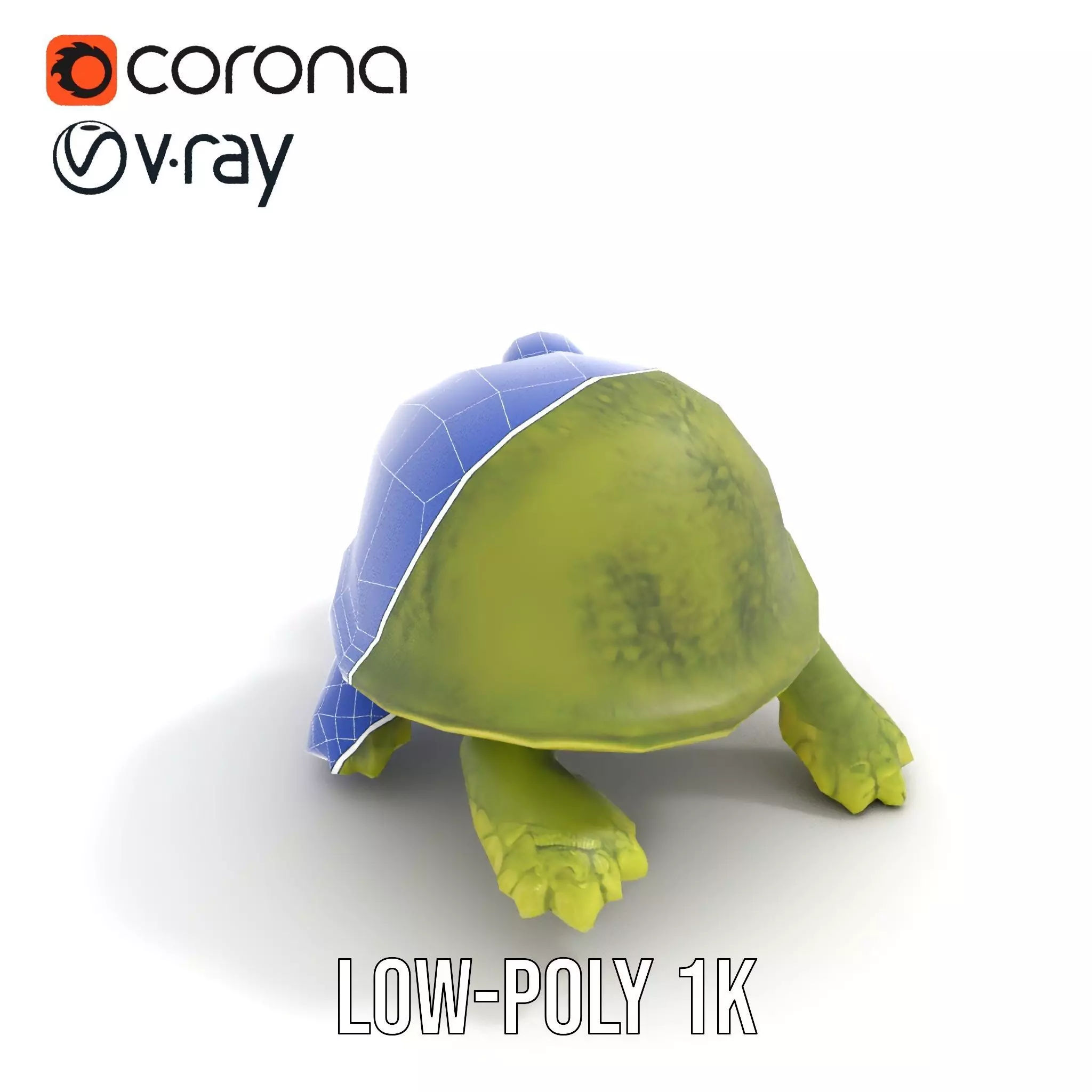 Mossy Turtle model pack Low-poly 3D model_17