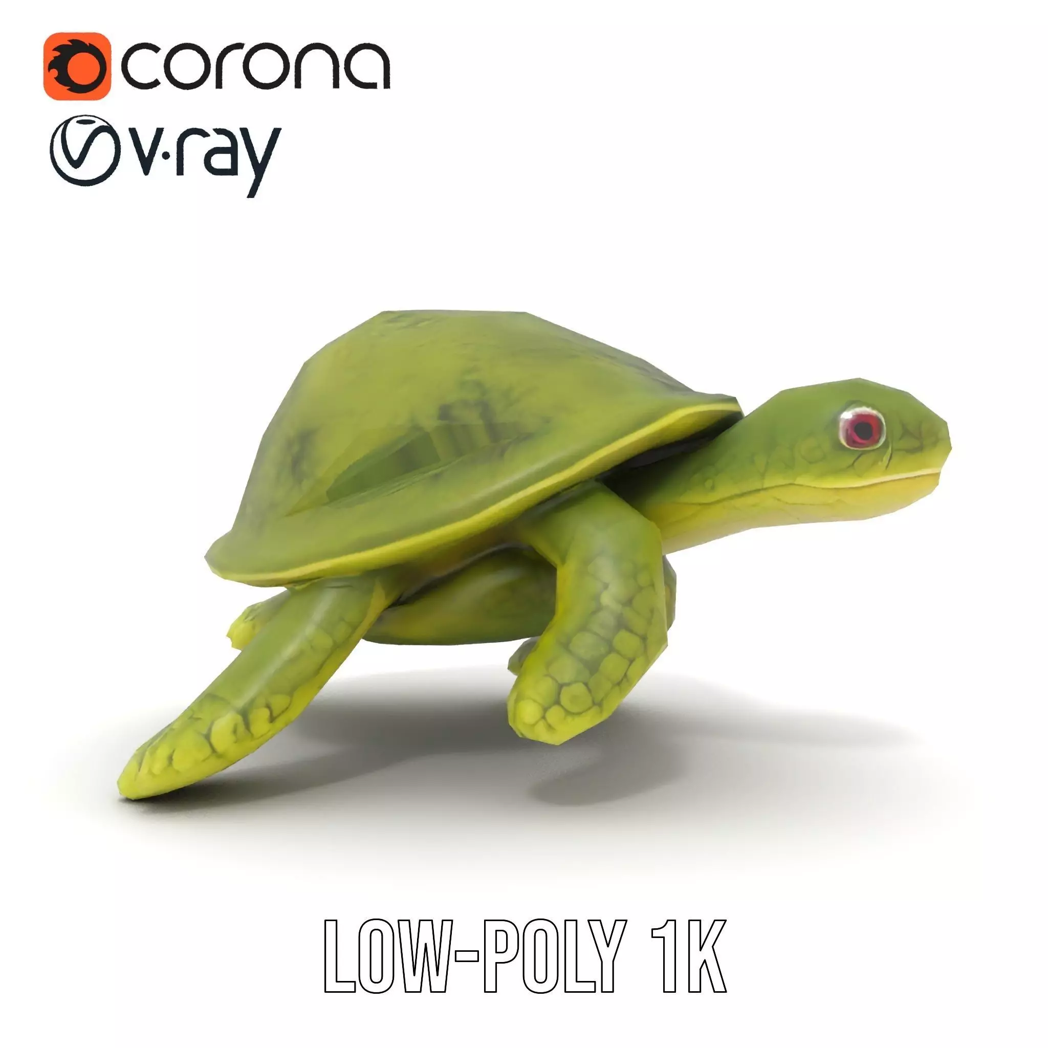Mossy Turtle model pack Low-poly 3D model_9