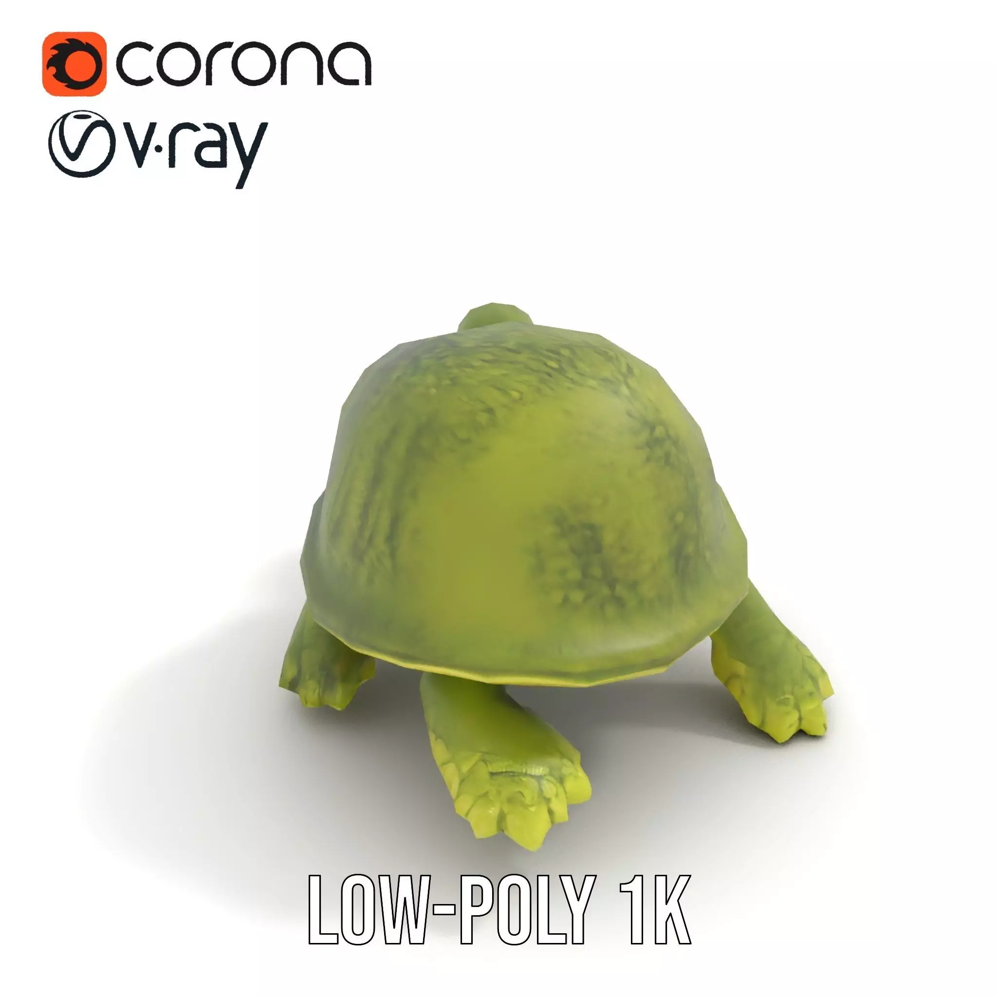 Mossy Turtle model pack Low-poly 3D model_7