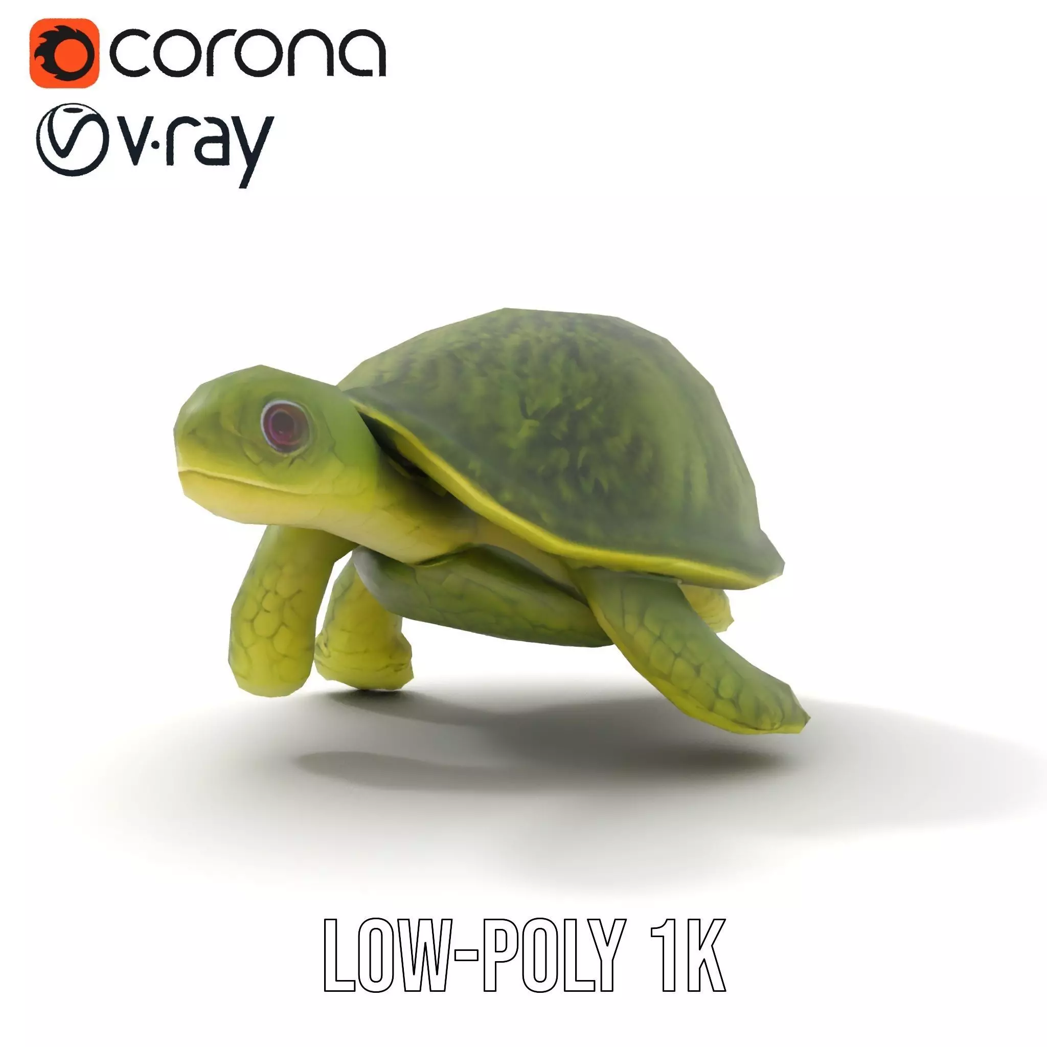 Mossy Turtle model pack Low-poly 3D model_14