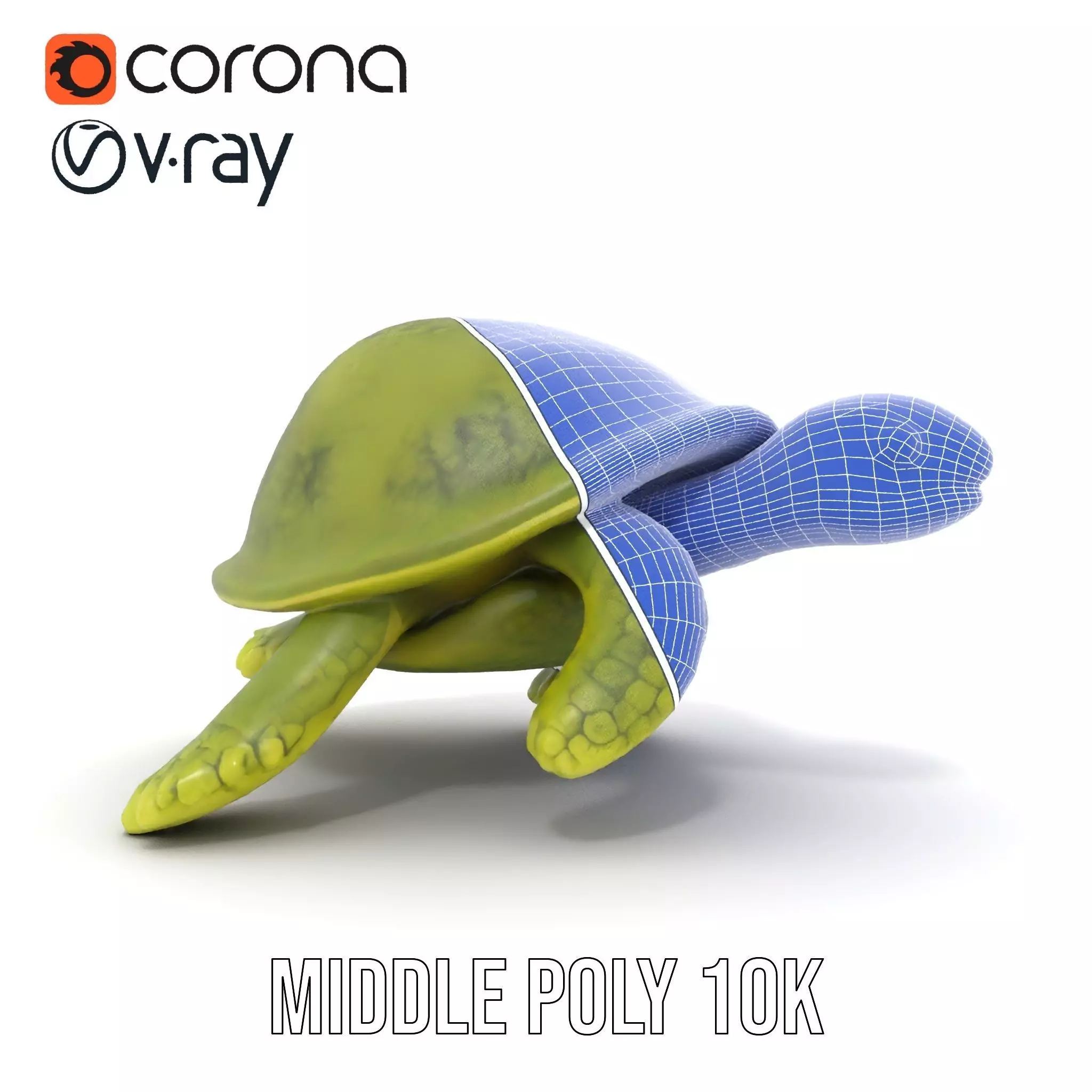 Mossy Turtle model pack Low-poly 3D model_29