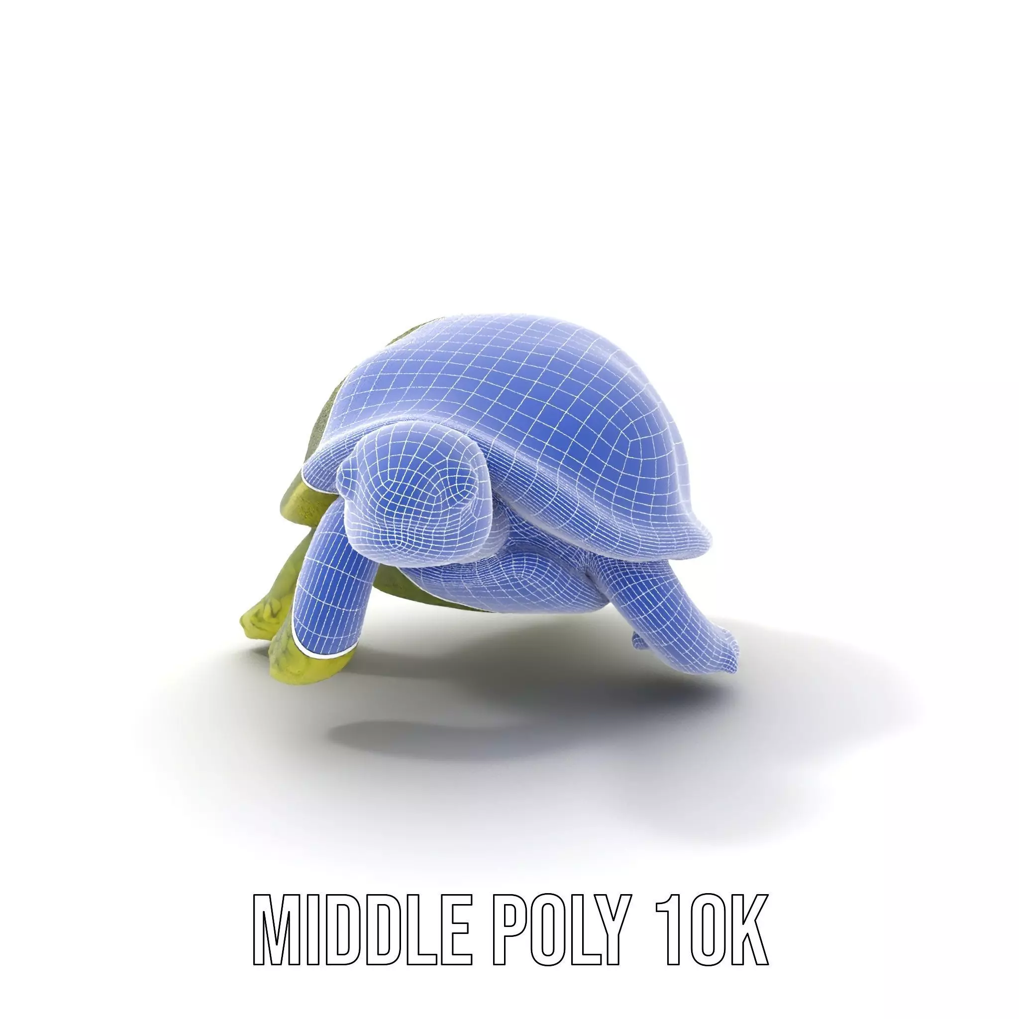 Mossy Turtle model pack Low-poly 3D model_24