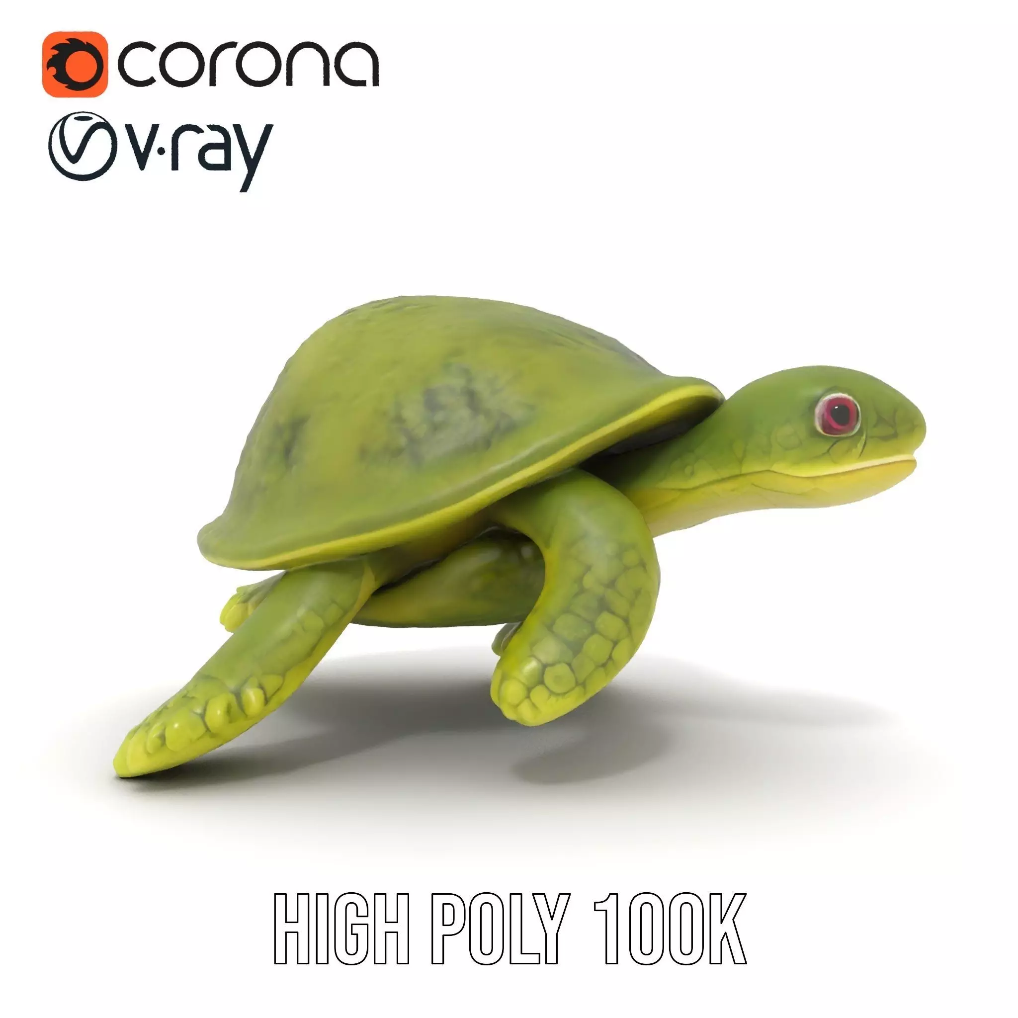 Mossy Turtle model pack Low-poly 3D model_15
