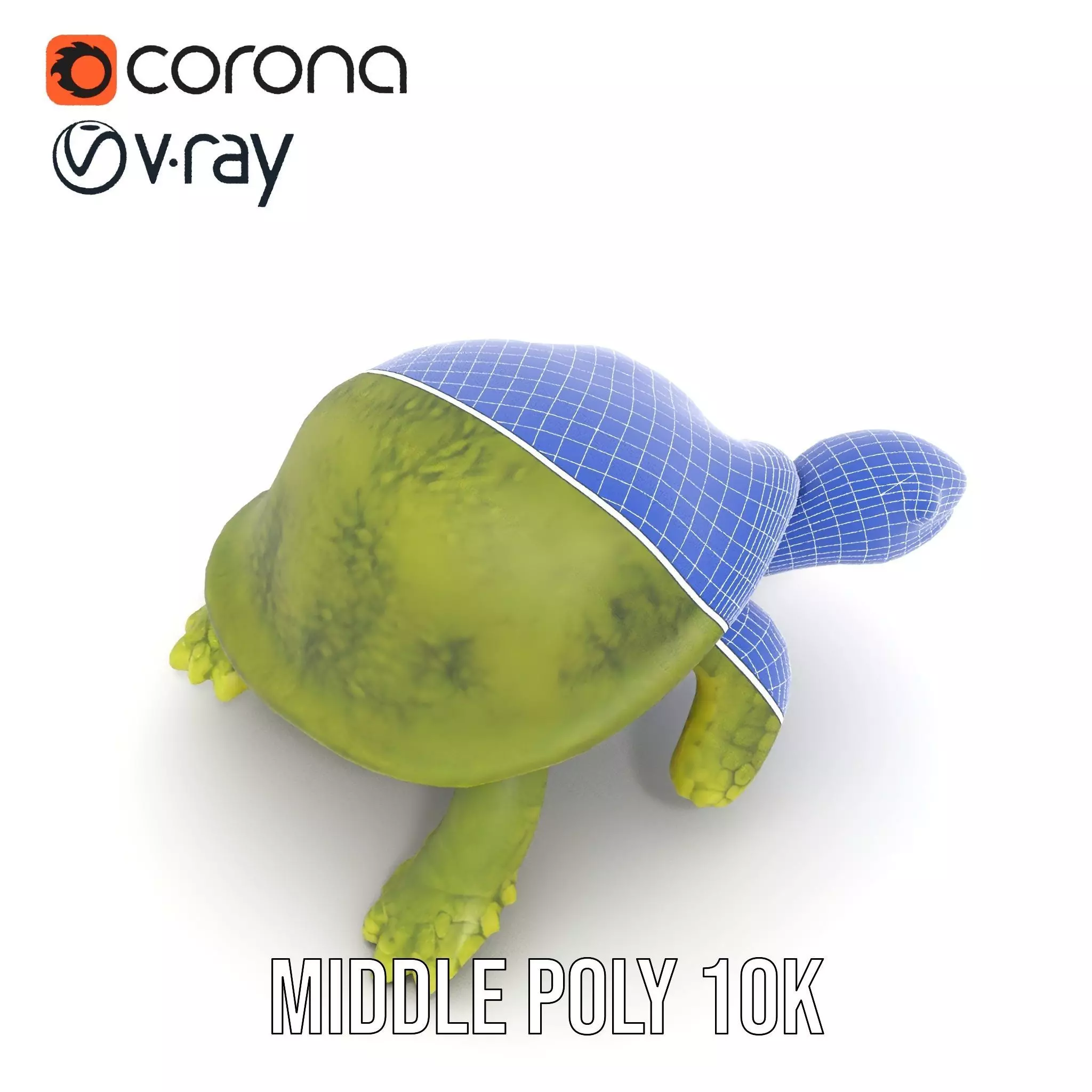 Mossy Turtle model pack Low-poly 3D model_13
