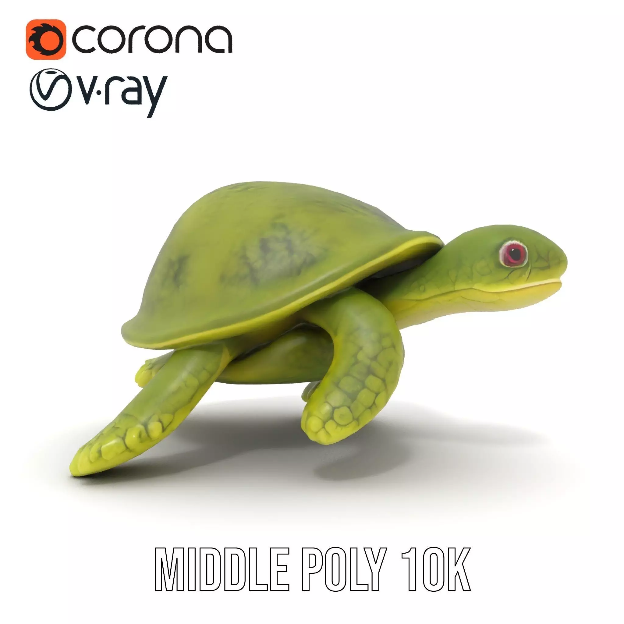 Mossy Turtle model pack Low-poly 3D model_19