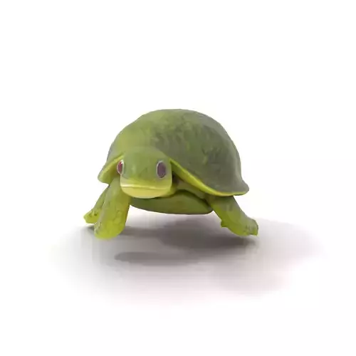 Mossy Turtle model pack Low-poly 3D model