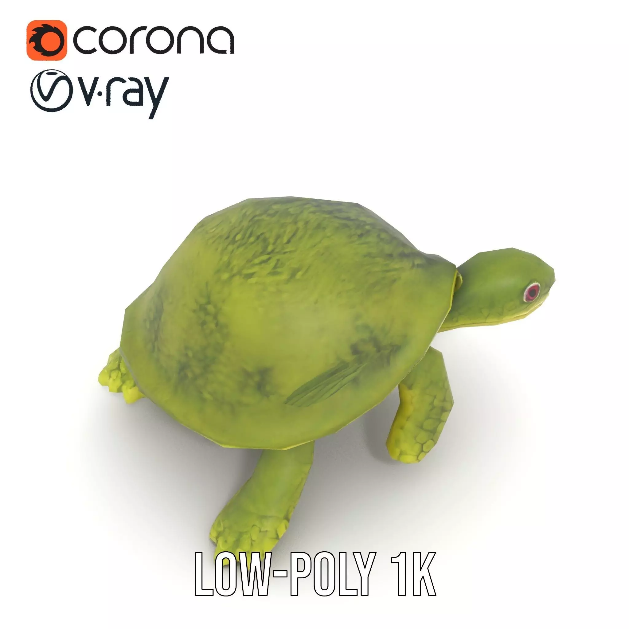 Mossy Turtle model pack Low-poly 3D model_20