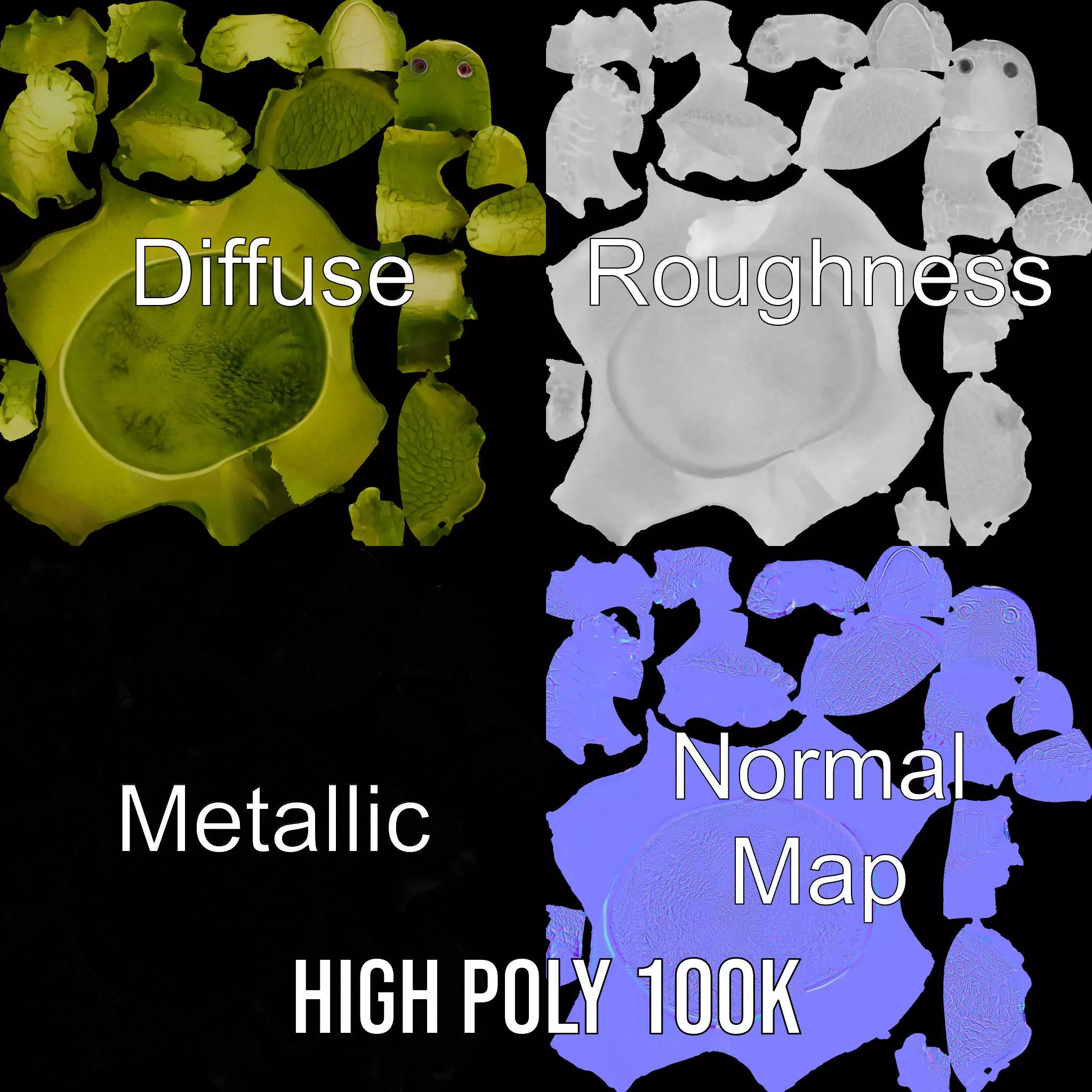 Mossy Turtle model pack Low-poly 3D model_3