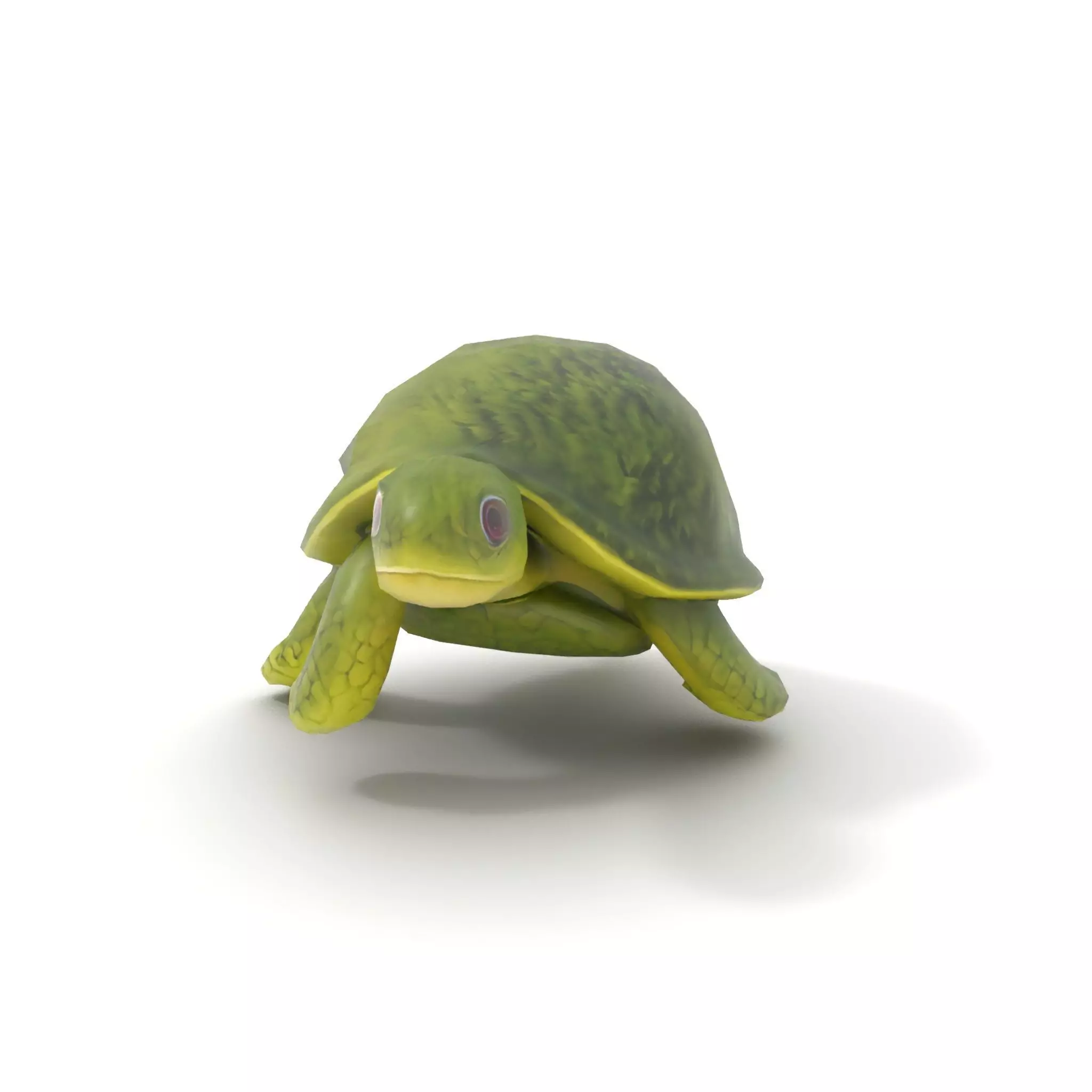 Mossy Turtle model pack Low-poly 3D model_12