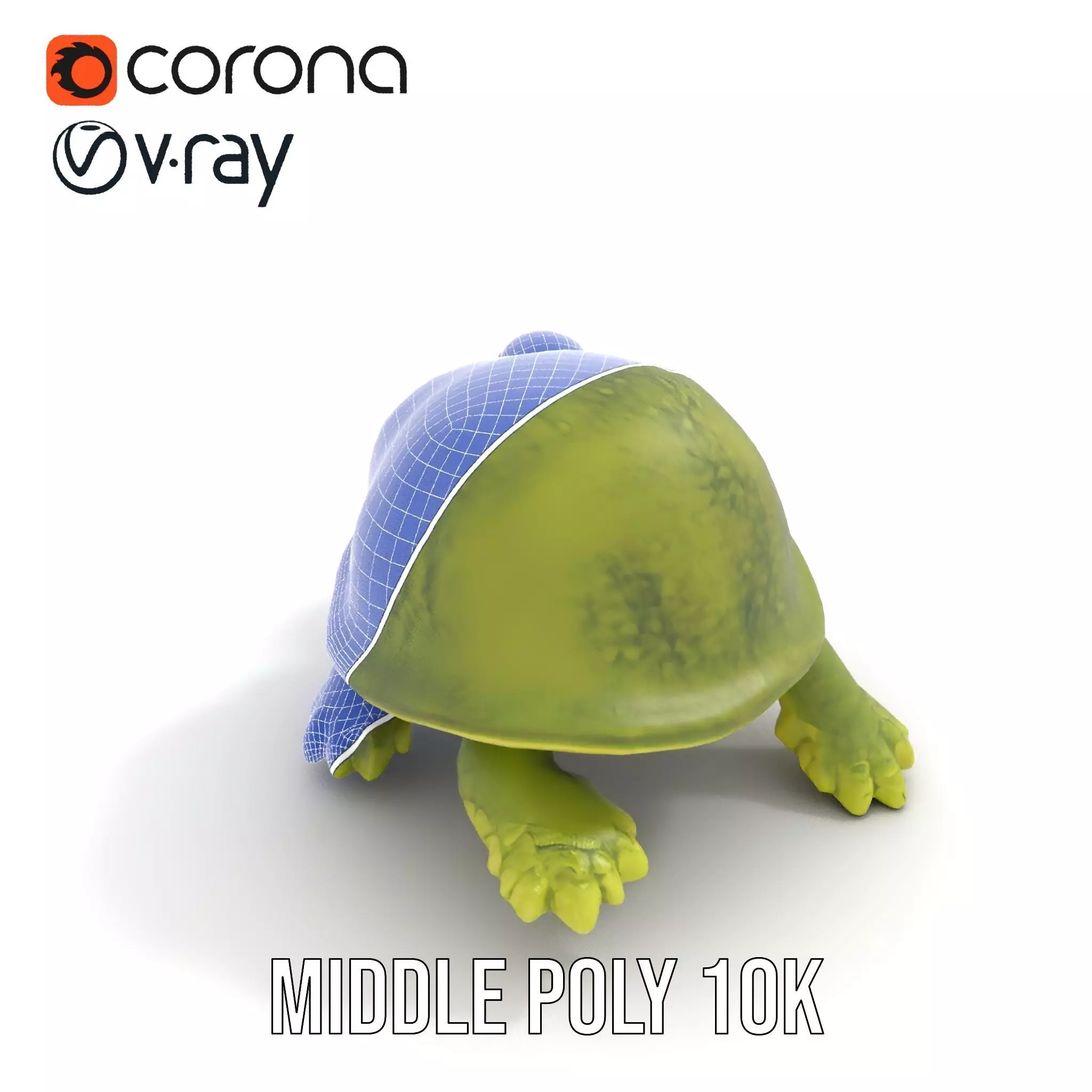 Mossy Turtle model pack Low-poly 3D model_21