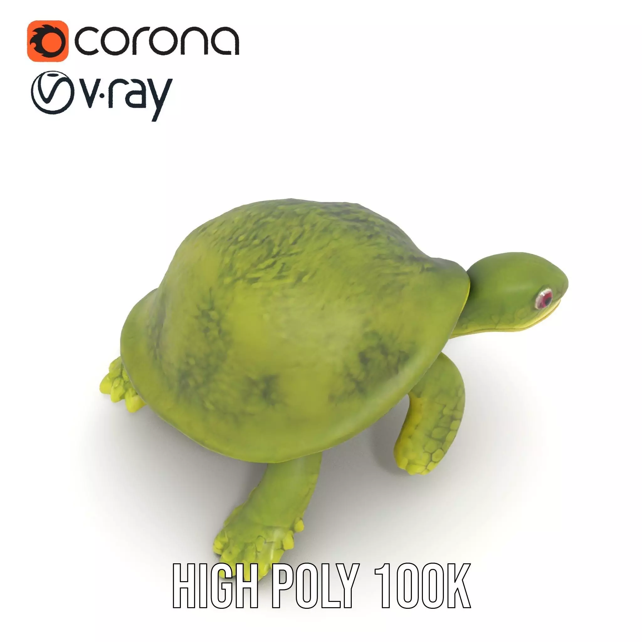 Mossy Turtle model pack Low-poly 3D model_28