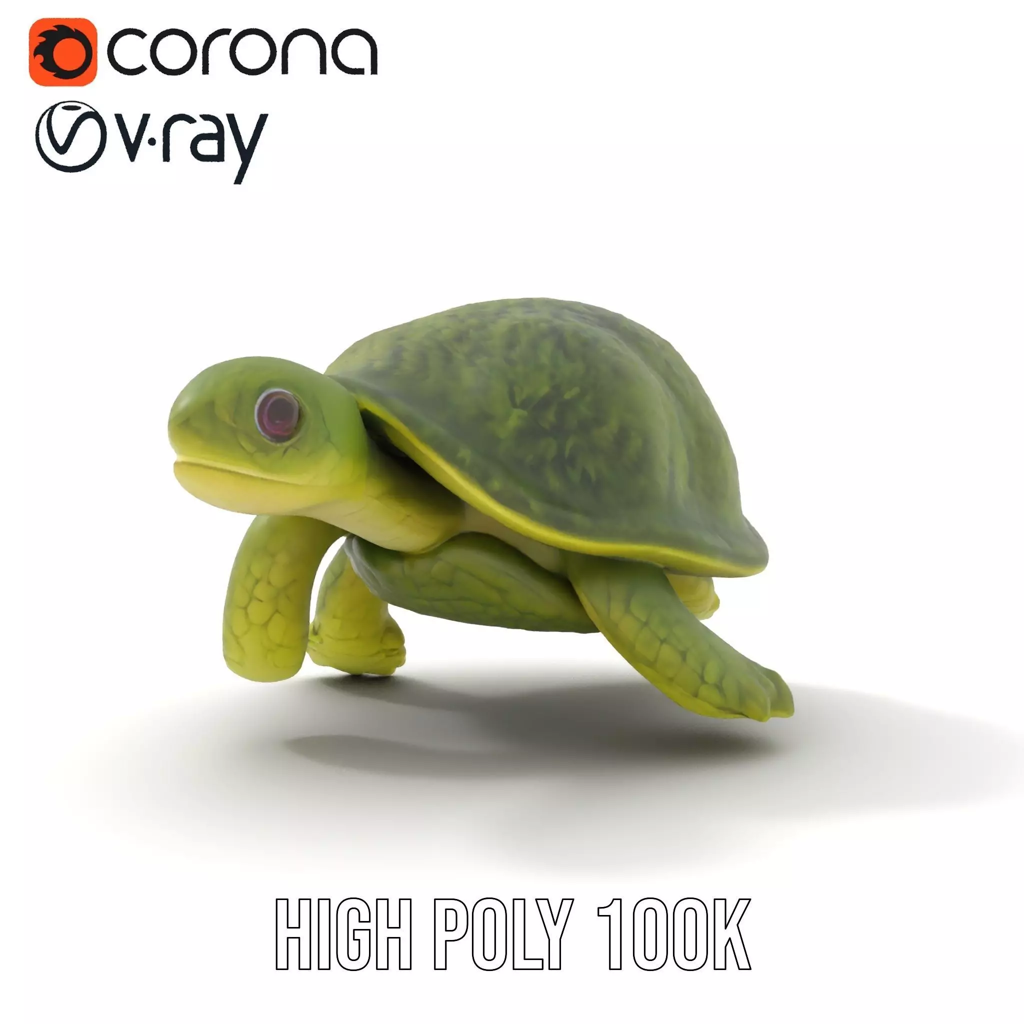 Mossy Turtle model pack Low-poly 3D model_18