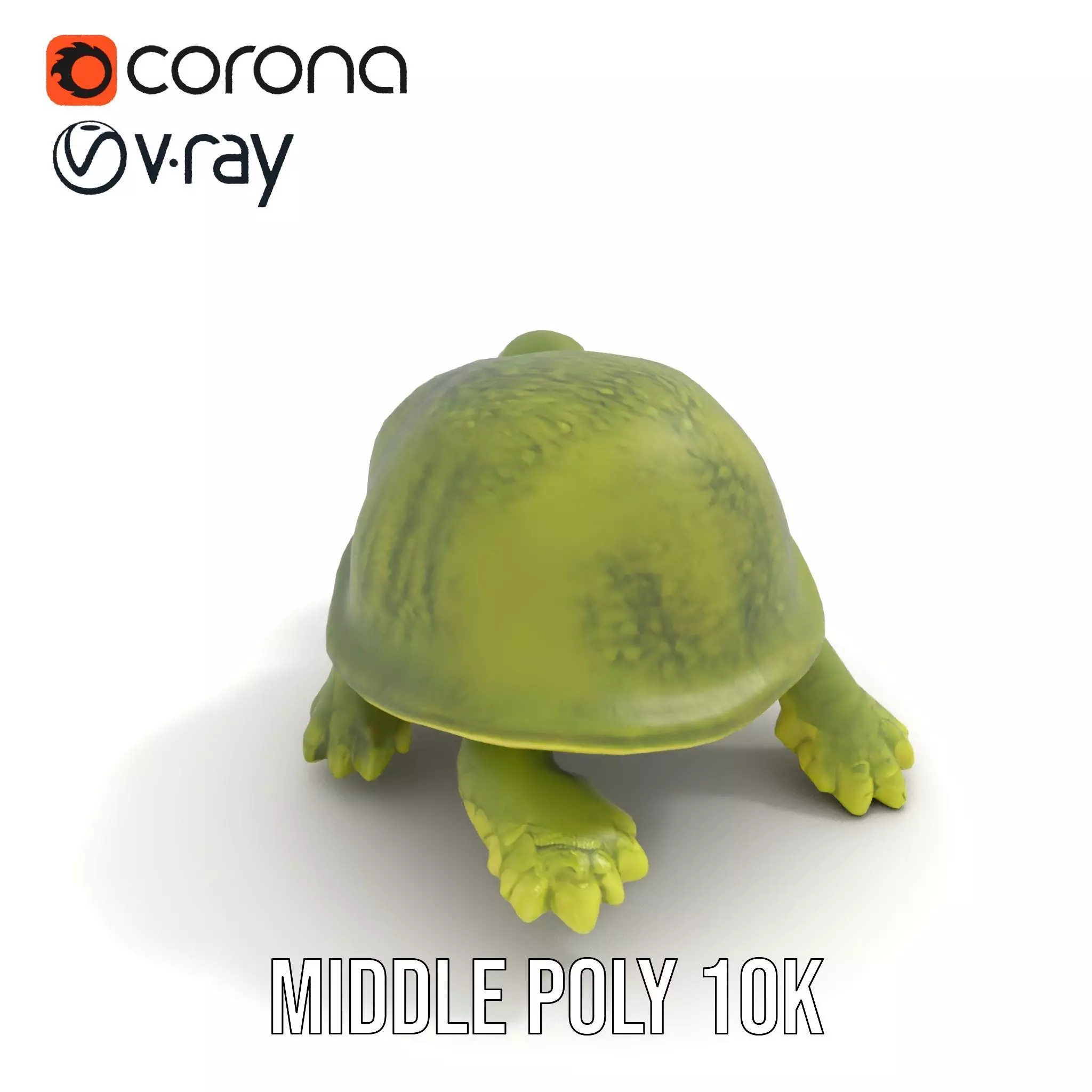 Mossy Turtle model pack Low-poly 3D model_5