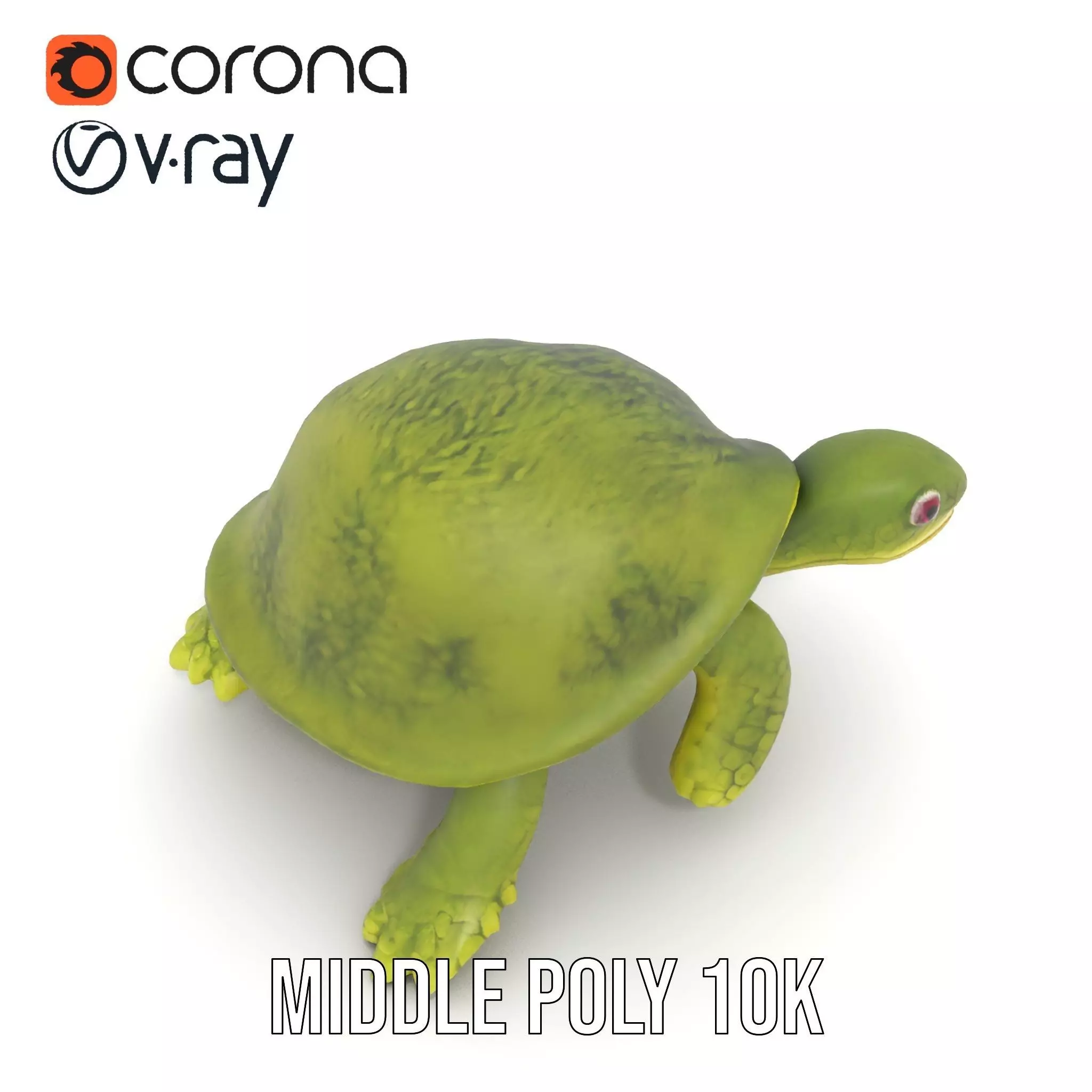 Mossy Turtle model pack Low-poly 3D model_16