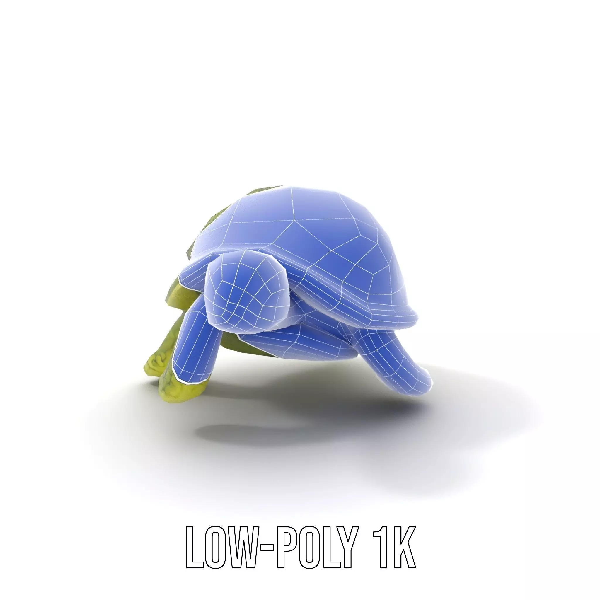 Mossy Turtle model pack Low-poly 3D model_27
