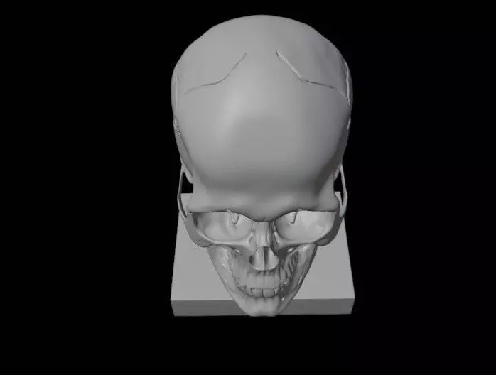 Skull 3D print model_3