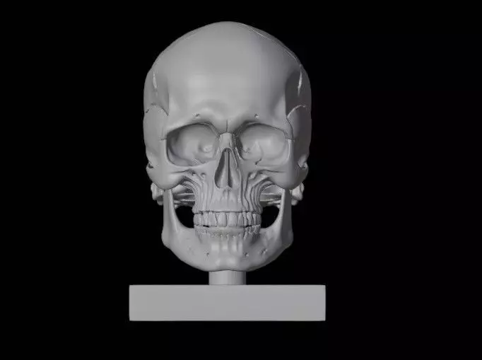 Skull 3D print model_0