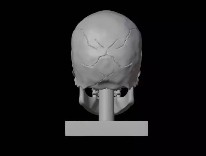 Skull 3D print model_2