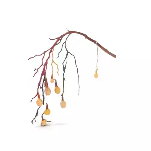 Rustic Branch Lighting model pack Low-poly 3D model