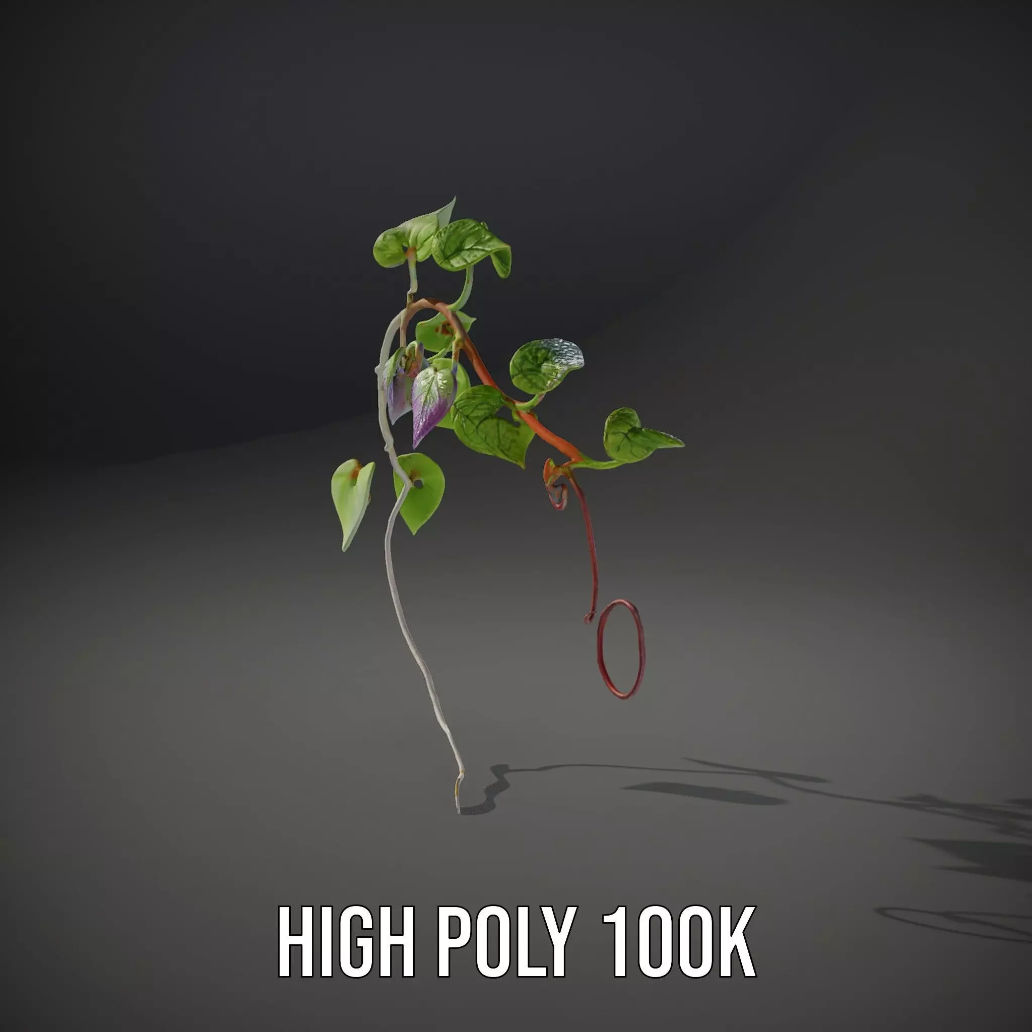 Lush Vine Foliage model pack Low-poly 3D model_10