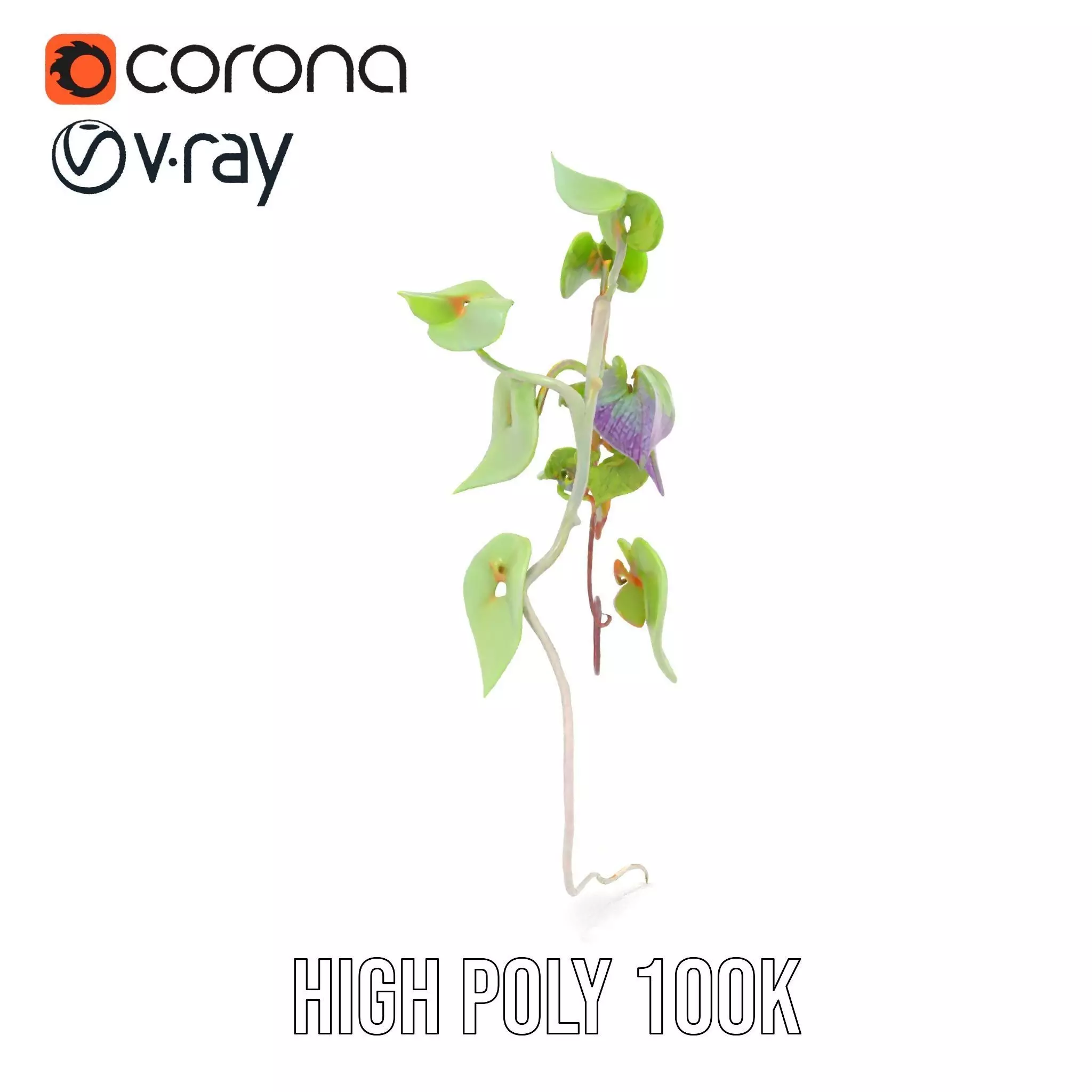 Lush Vine Foliage model pack Low-poly 3D model_31