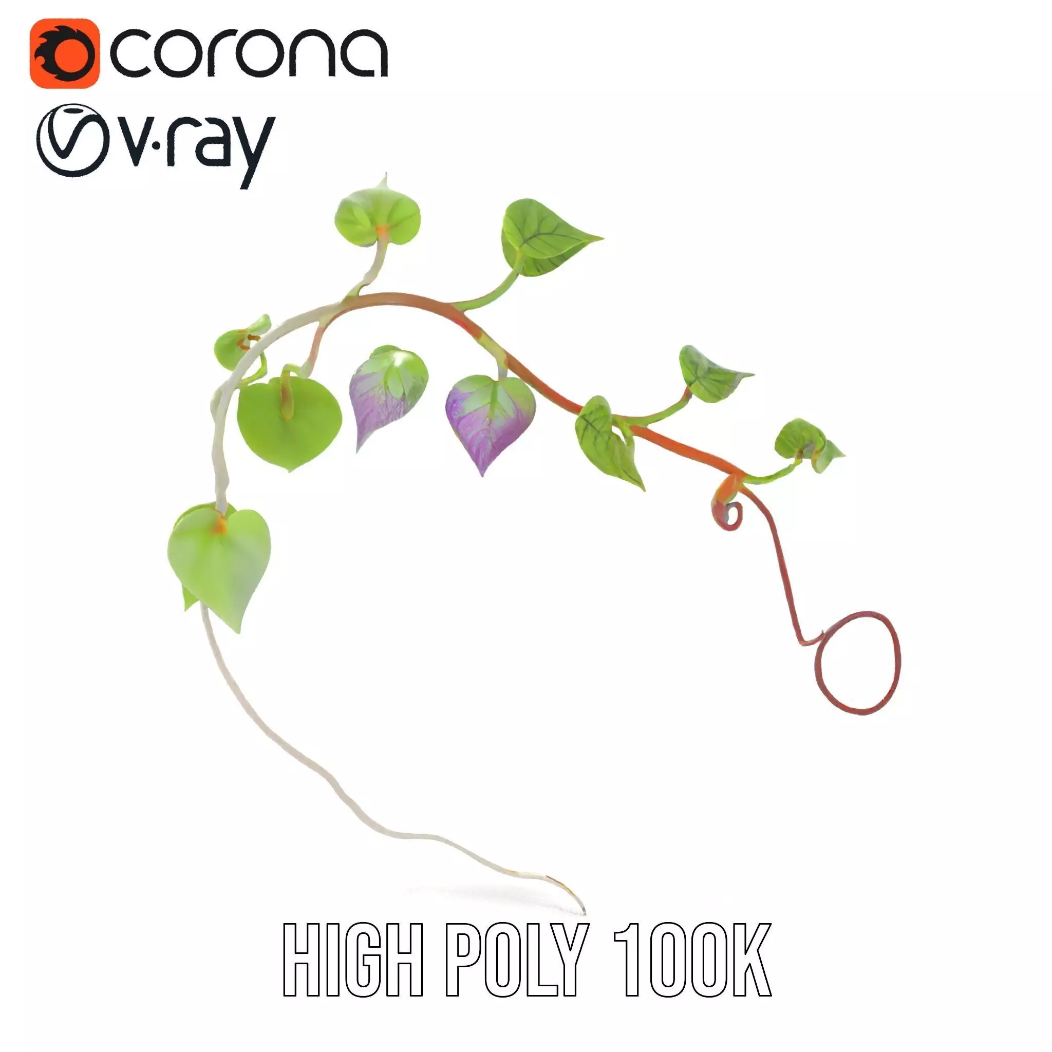 Lush Vine Foliage model pack Low-poly 3D model_33