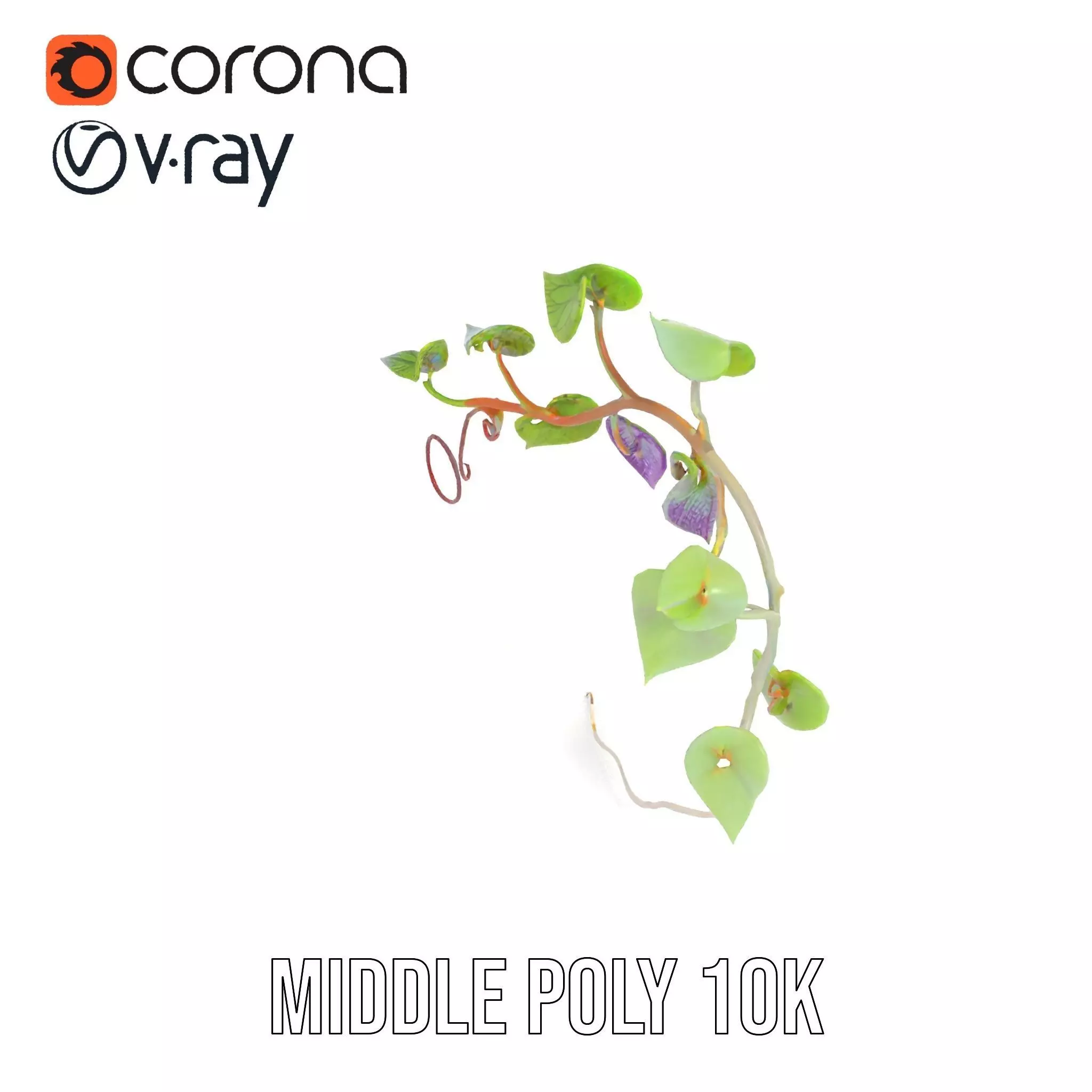 Lush Vine Foliage model pack Low-poly 3D model_6