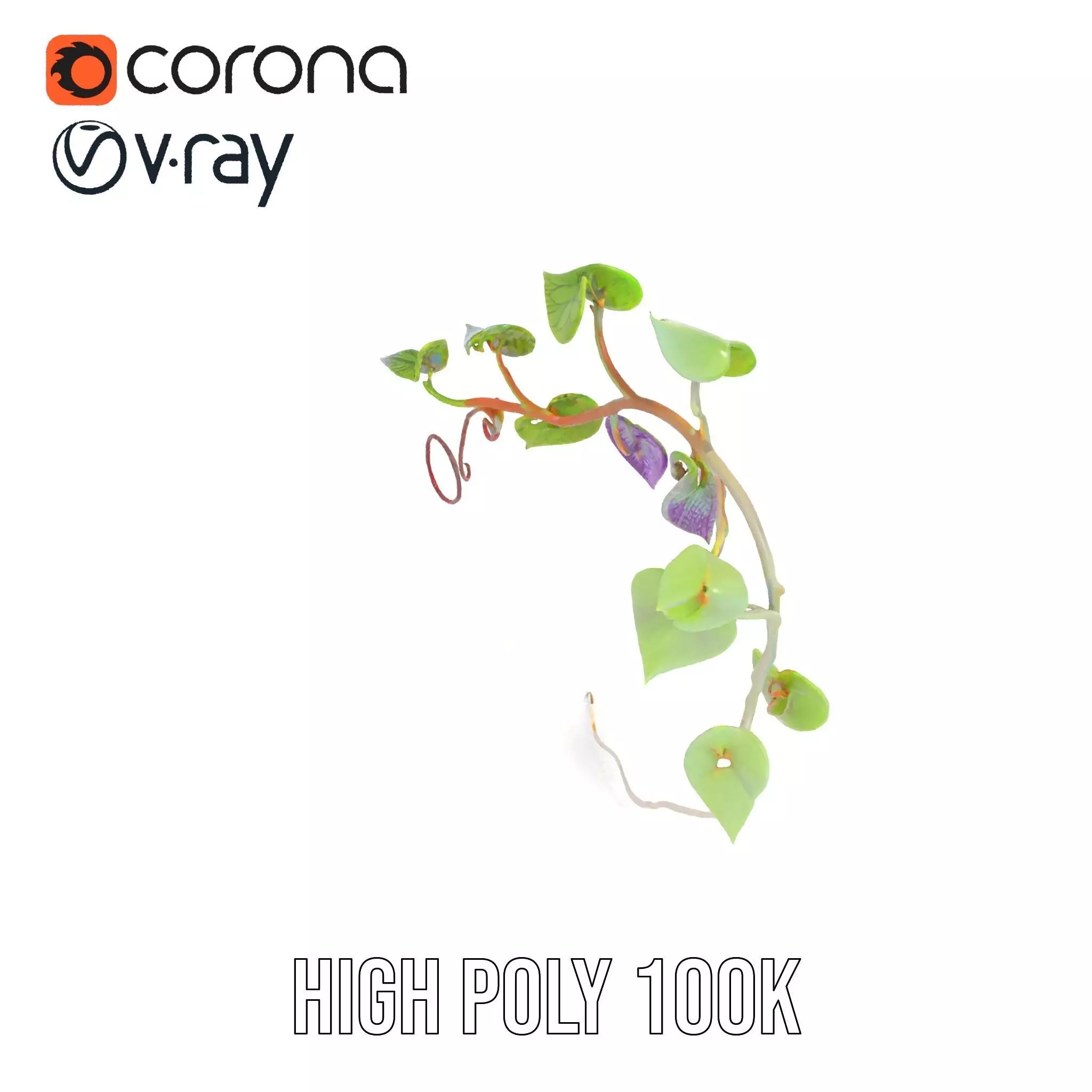 Lush Vine Foliage model pack Low-poly 3D model_20